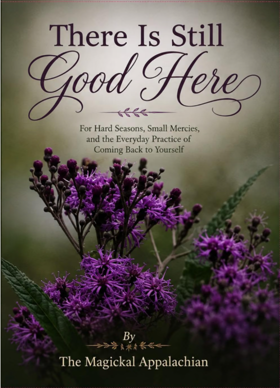 There Is Still Good Here: For Hard Seasons, Small Mercies, and the Everyday Practice of Coming Back to Yourself - PDF Download