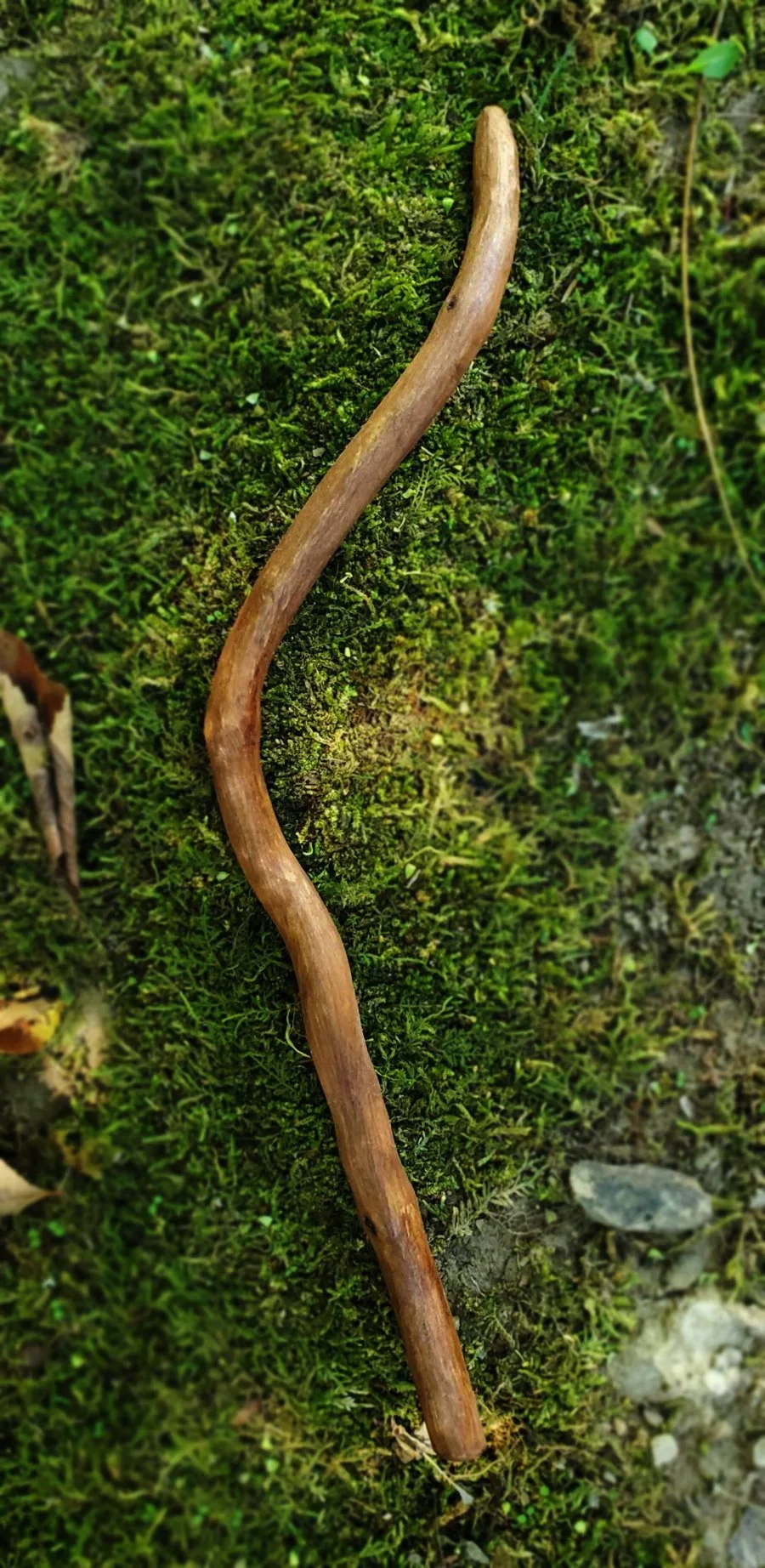 Wildwood Holler Wand #3 | Appalachian Foraged Wood Ritual Wand