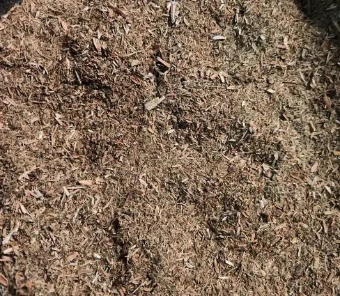 Ground Willow Bark