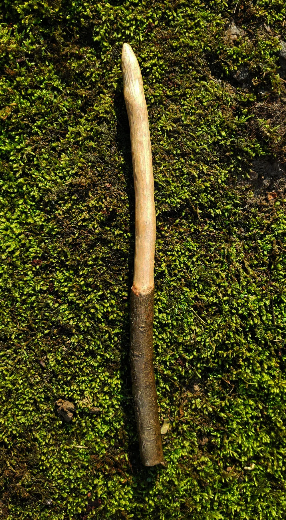 an Appalachian foraged wood ritual wand with a smooth pale upper body, darker natural bark handle, and pointed tip