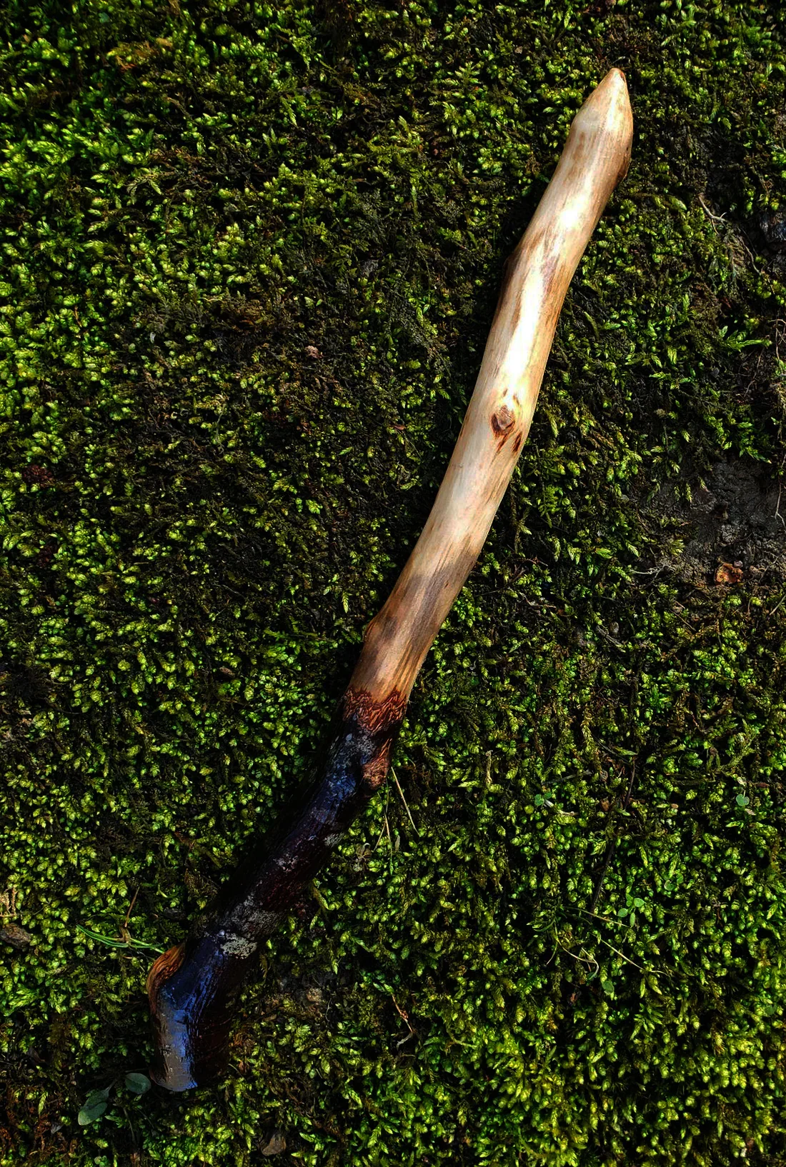 Wildwood Holler Wand #6 | Appalachian Foraged Wood Ritual Wand