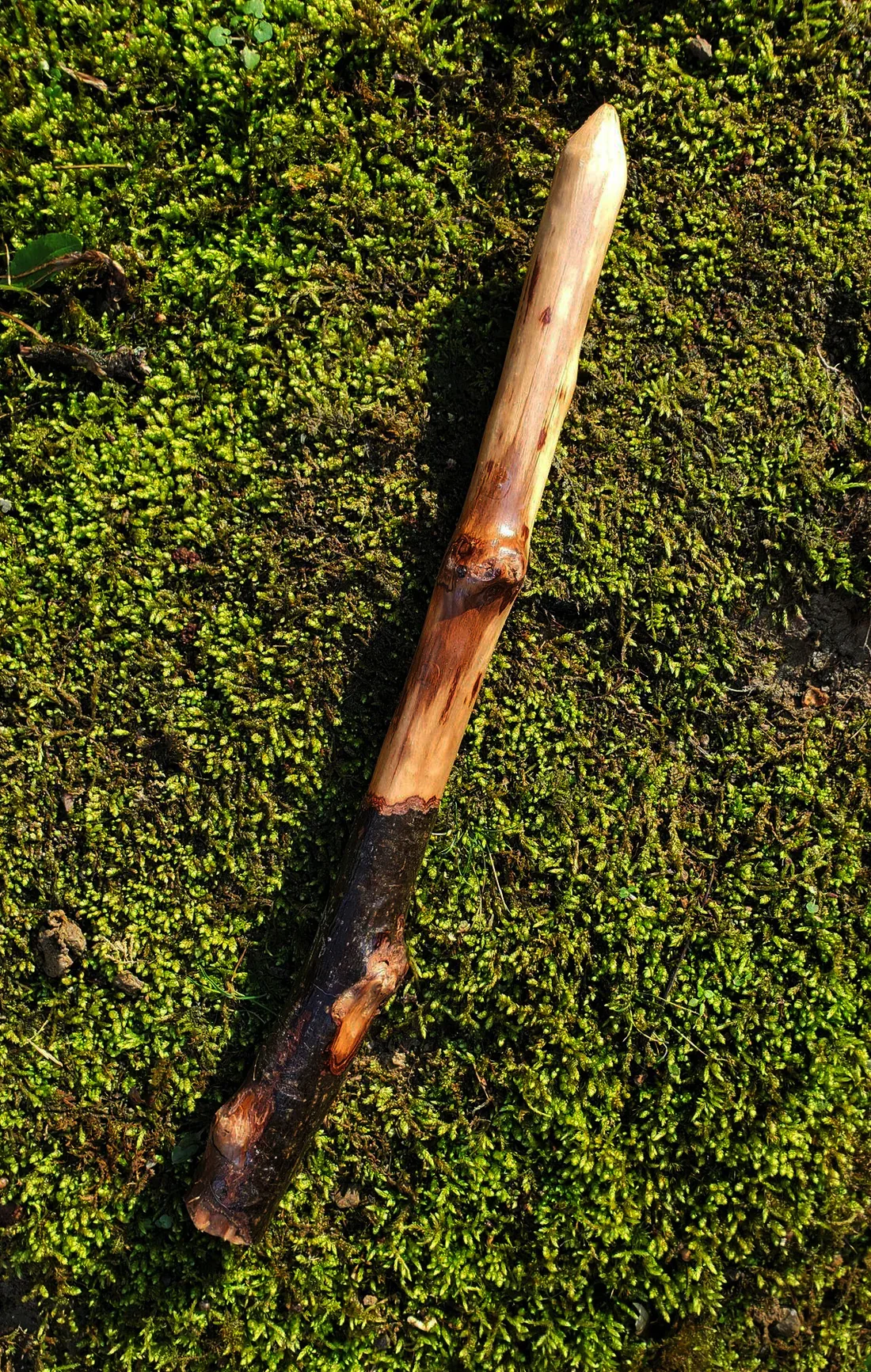 Appalachian foraged wood ritual wand with a pale smooth upper body, dark natural handle, natural knots, and pointed tip resting on green moss.
