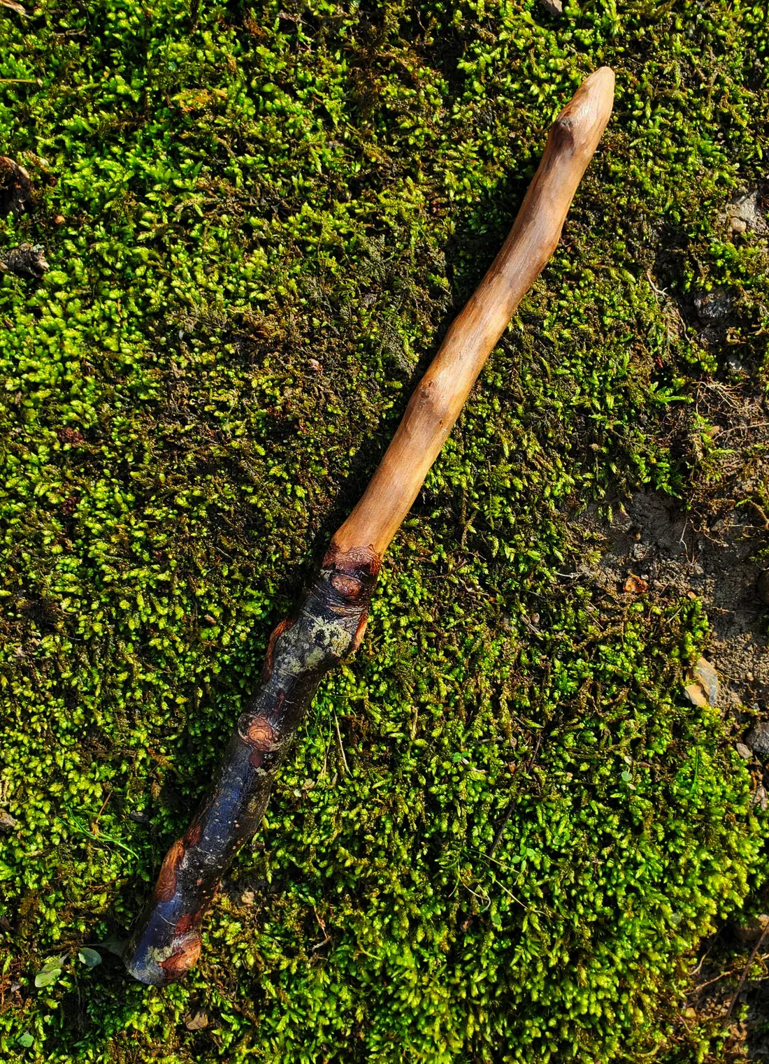 Appalachian foraged wood ritual wand with a dark mottled natural handle, pale smooth upper body, and pointed tip resting on green moss.