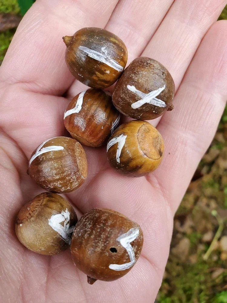 Foraged Appalachian acorn rune set for Elder Futhark divination, rune casting, altar work, and spiritual guidance