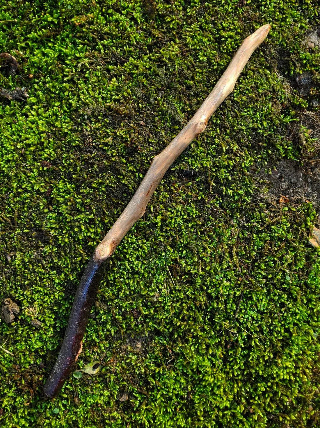 Appalachian foraged wood spell wand with a dark curved handle, pale hand-sanded body, and pointed tip resting on green moss.