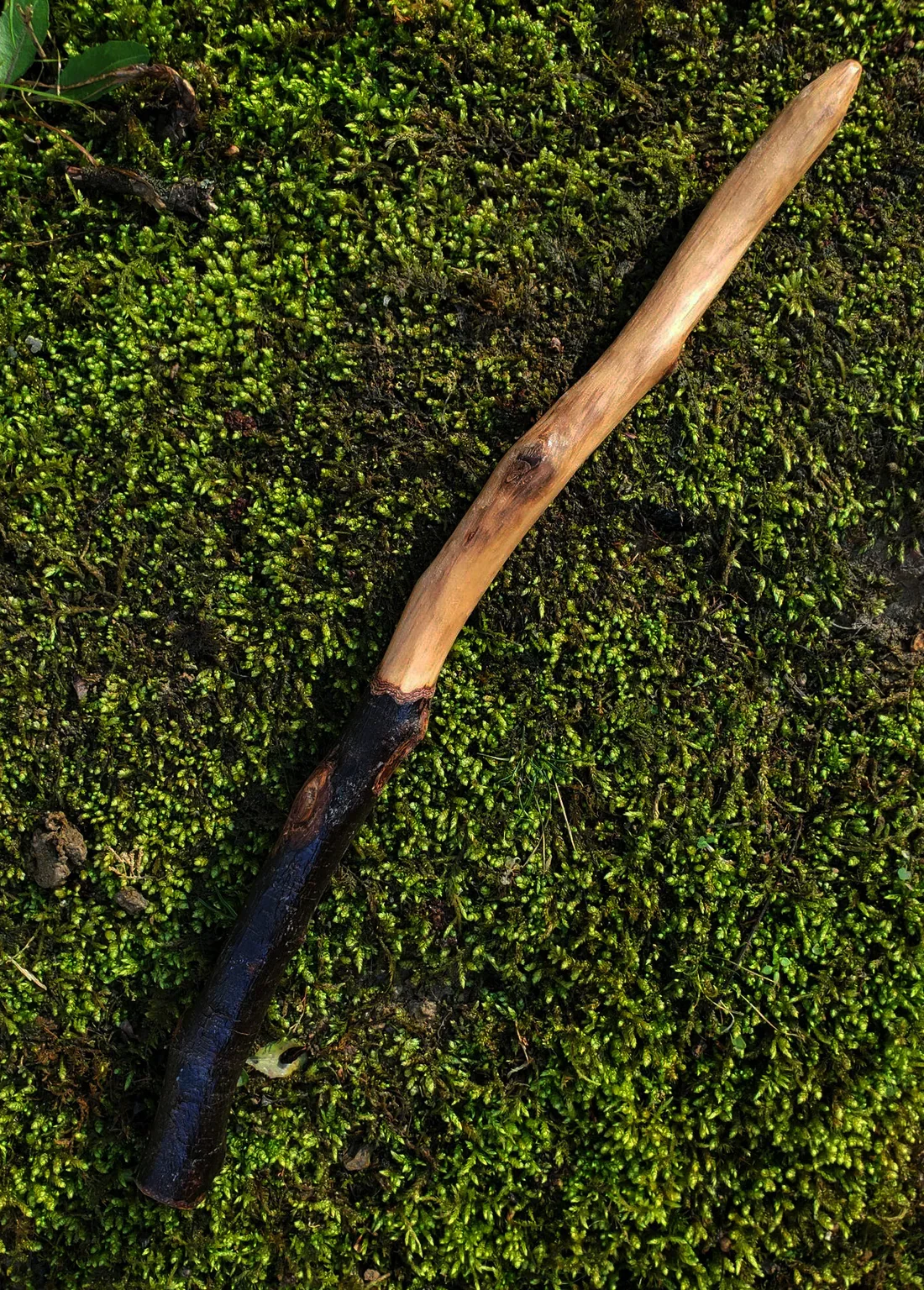 Appalachian foraged wood ritual wand with a dark natural handle, warm pale wood body, curved shape, and pointed tip resting on green moss.