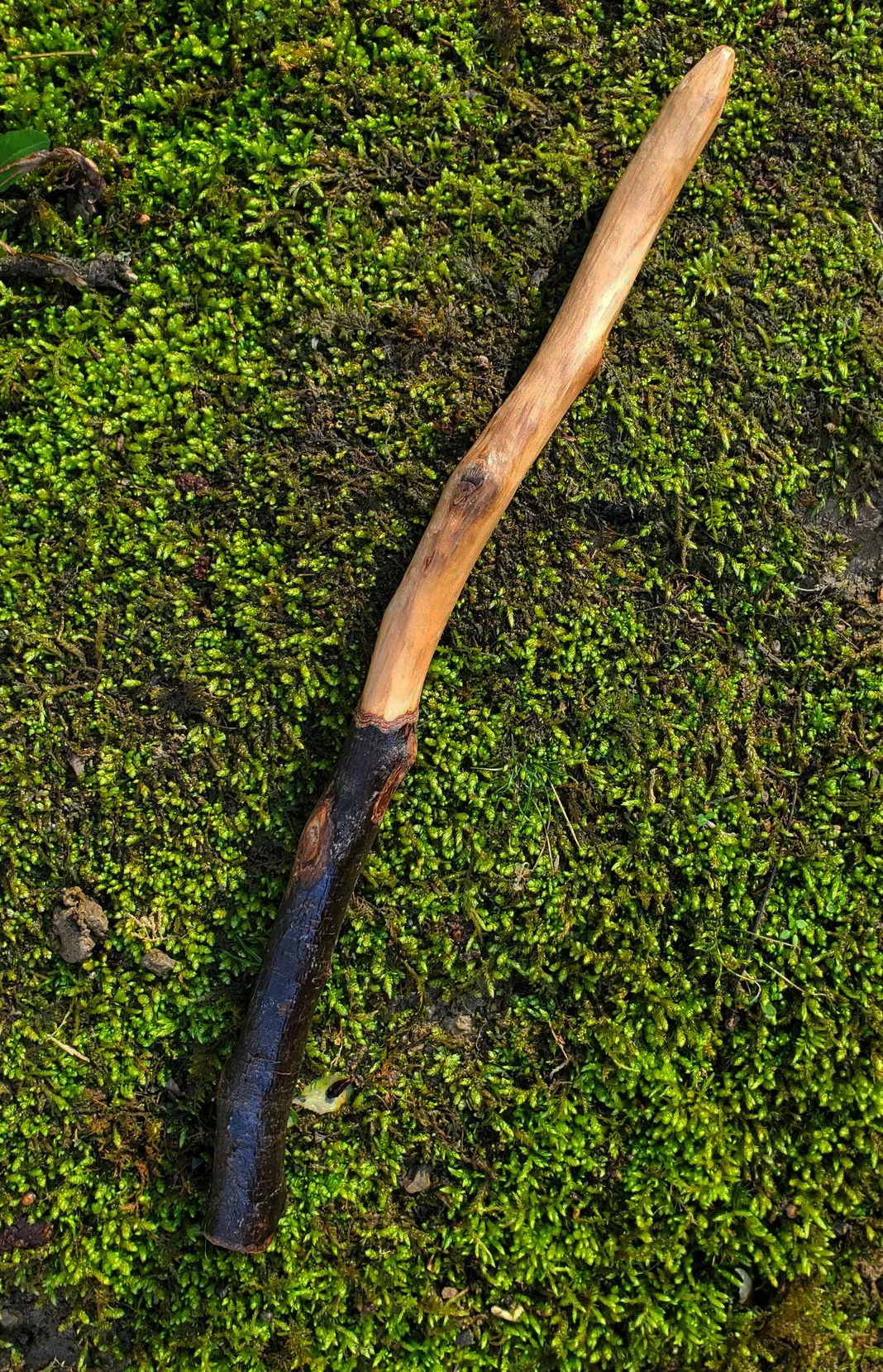 Appalachian foraged wood ritual wand with a dark natural handle, warm pale wood body, curved shape, and pointed tip resting on green moss.