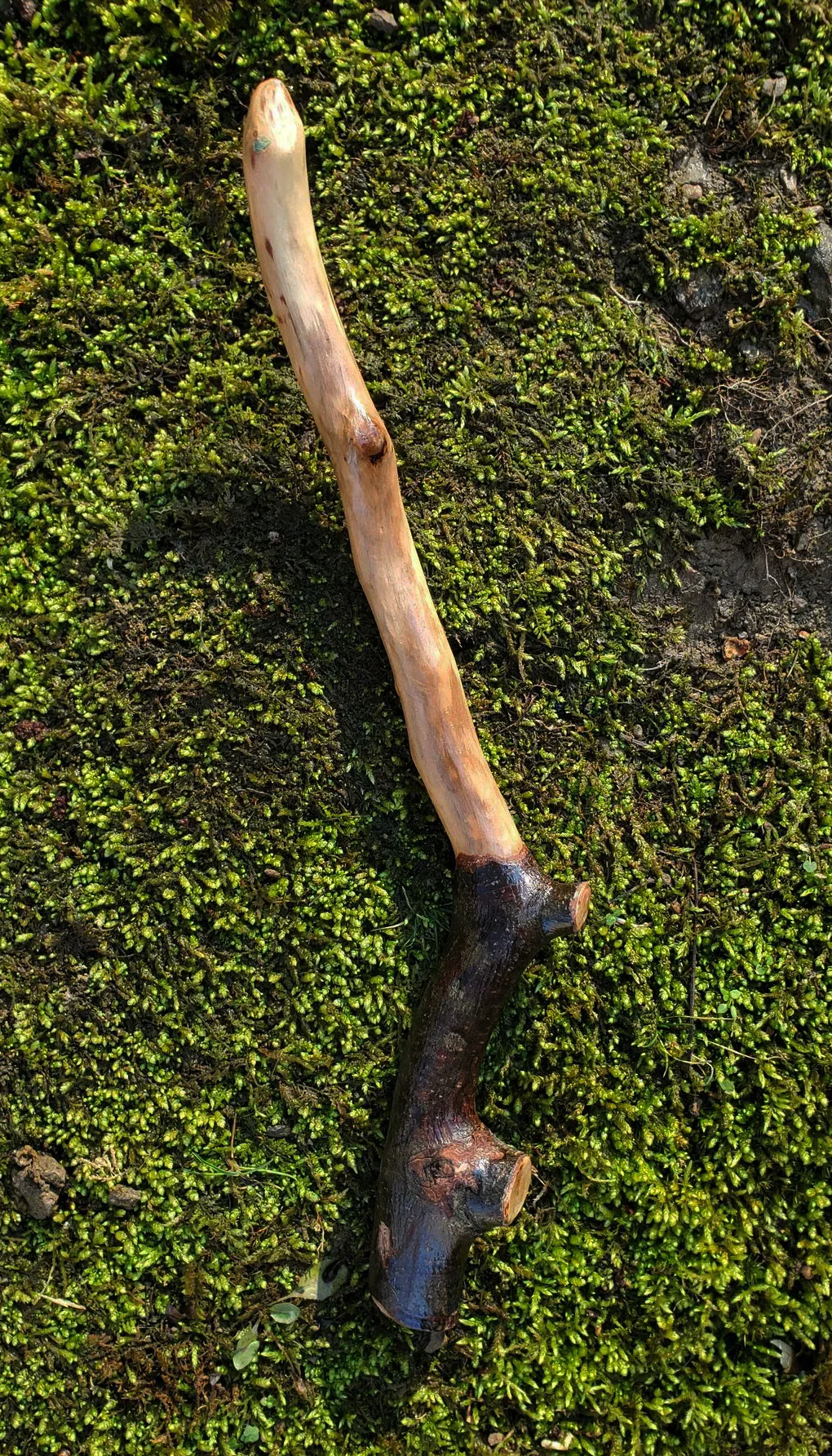 Appalachian foraged wood ritual wand with a pale smooth upper body, dark natural forked handle, and pointed tip resting on green moss.