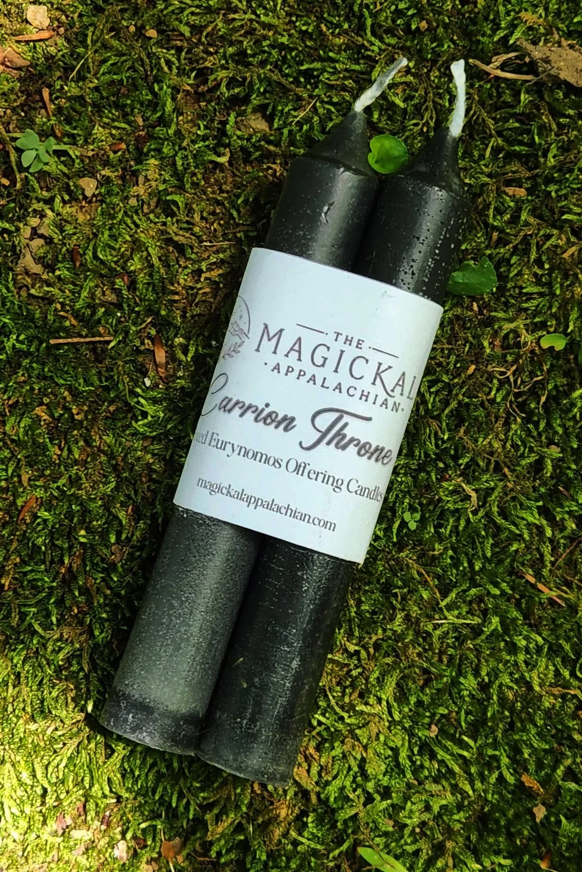 Fixed Eurynomos devotional candles crafted for chthonic work, decay, endings, shadow work, baneful work, spirit work, and transformation through what must be released.