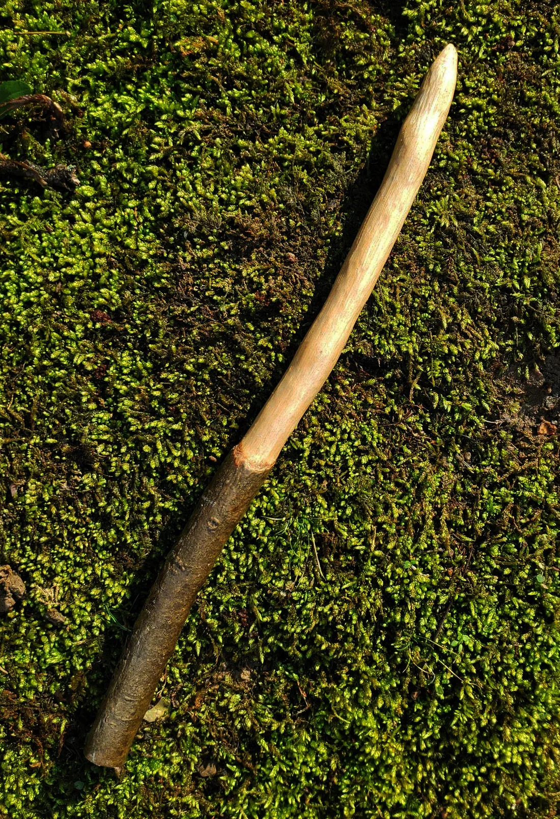 an Appalachian foraged wood ritual wand with a smooth pale upper body, darker natural bark handle, and pointed tip