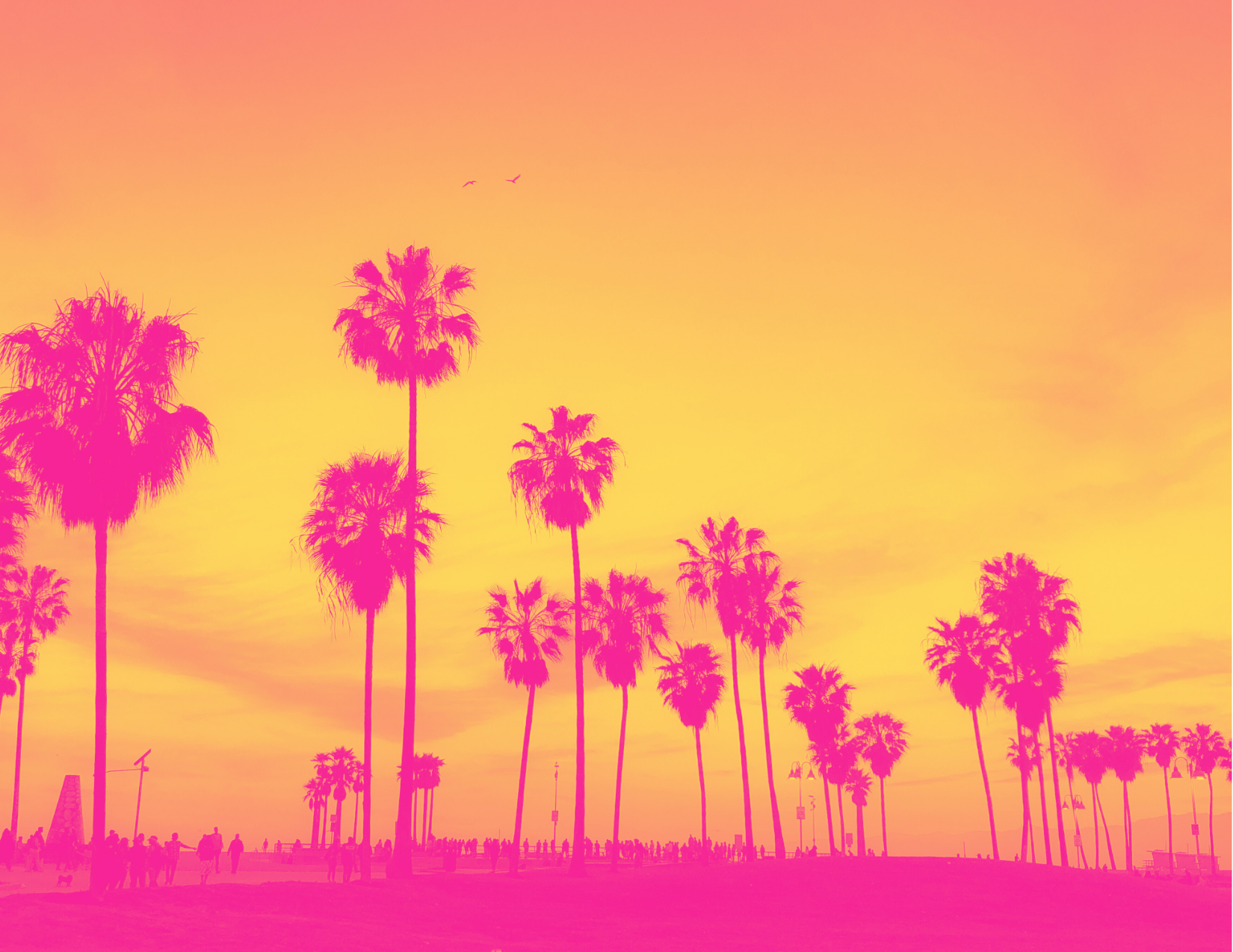 The Well Network Summit West