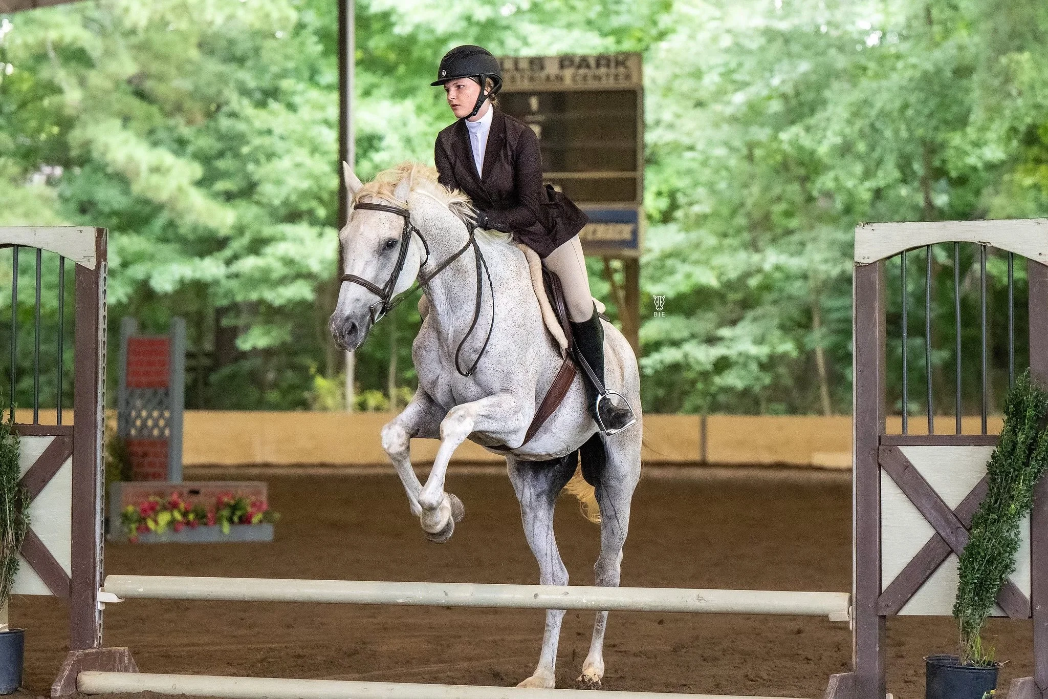 Blackrock Equestrian rider on a gray horse at a hunter-jumper show