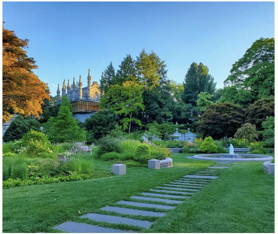 Rewilding Refresher @ Mount Auburn Cemetery. Launch of monthly Nature &amp; Nurture series