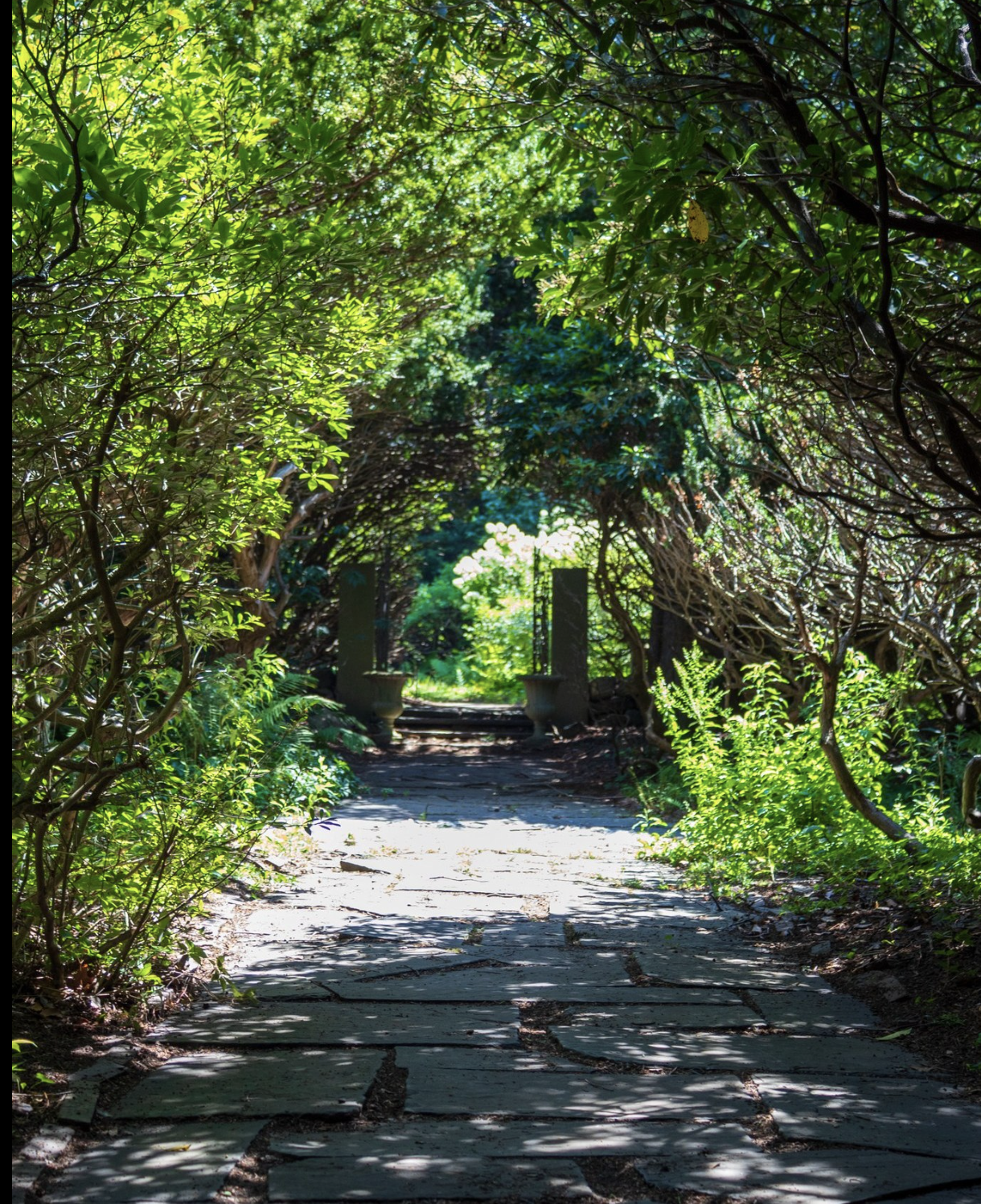 Wonder Walk @ Mass Audubon