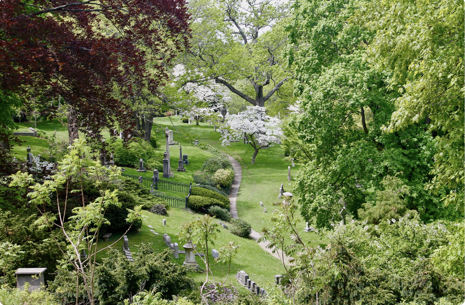 Summer Solstice Mindful Walk (afternoon) @ Mount Auburn Cemetery