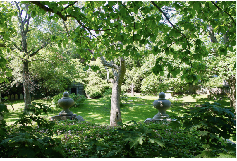 Summer Solstice Mid-day Meditation in Mount Auburn Cemetery’s Hazel Dell
