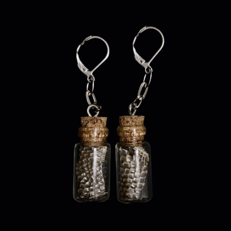 liz earrings
