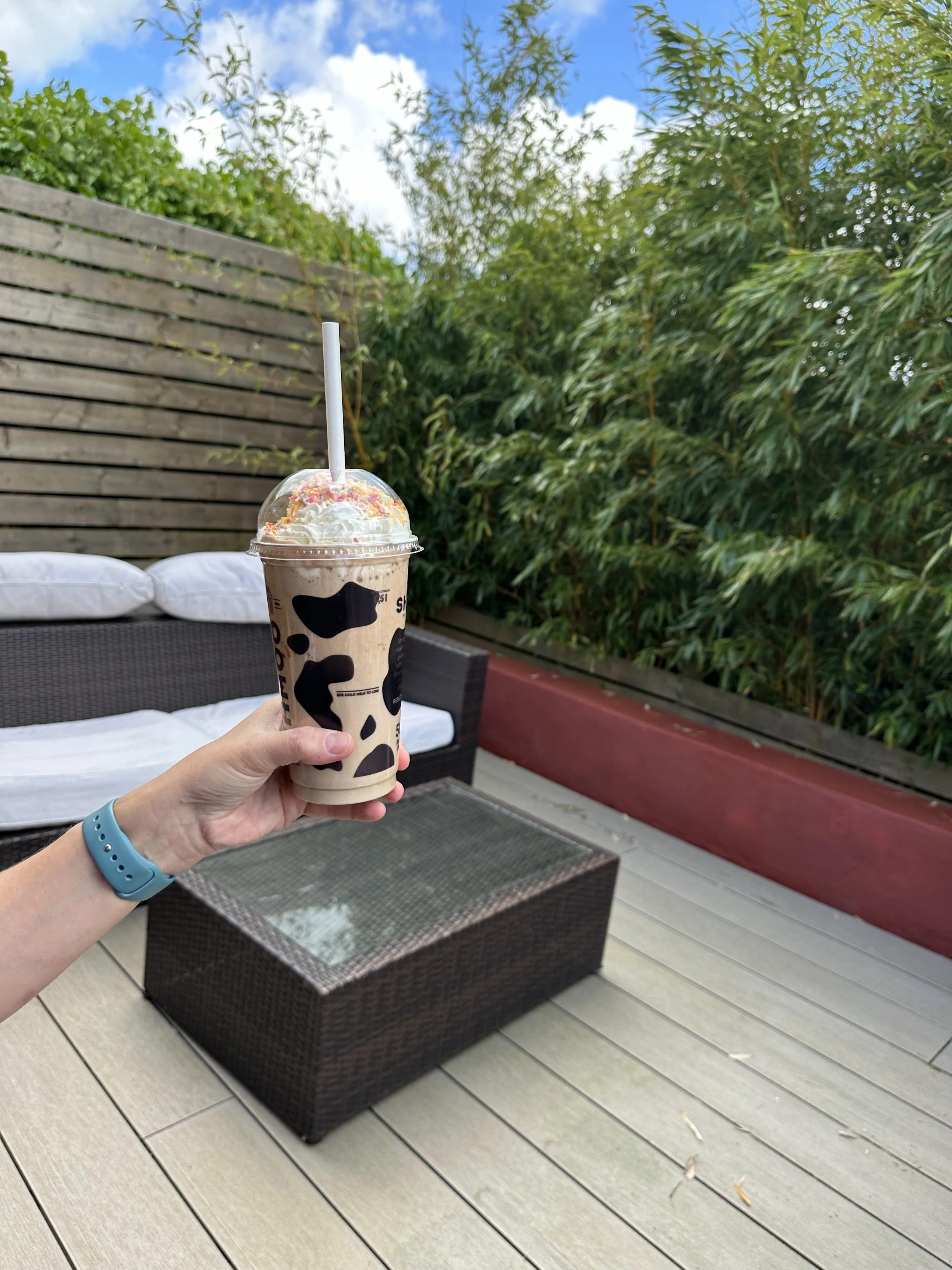 Schmoo Milkshake 