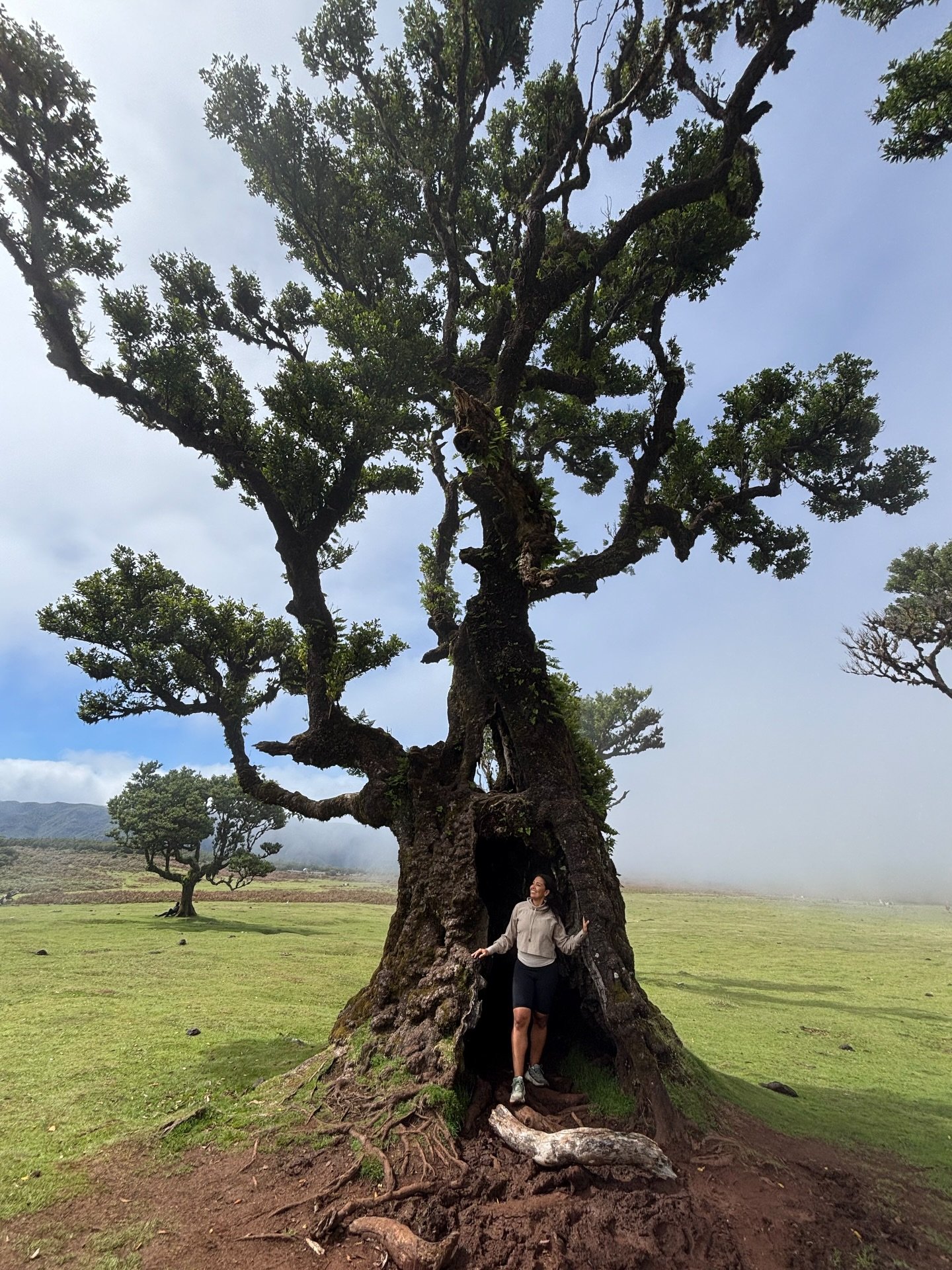 You are beautiful because you are. 
You are worthy because you are. 
You are loved because you are.

When life challenged me deeply in 2025, it was this remembering that brought me back to hope and presence. We are so conditioned to believe our beaut