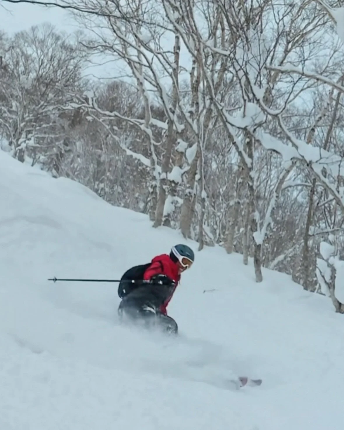 Gracias, madre monta&ntilde;a 🗻🫶🏽

In our crazy world, let love be our compass and joy our resistance. ❤️

Seguimos. 🙌🏽

📸 Snaps from Niseko 🇯🇵 by @toki_x100vi &mdash;
Arigatō gozaimasu 🙏🏽 for such a great day and these epic shots! 

📍 @ni