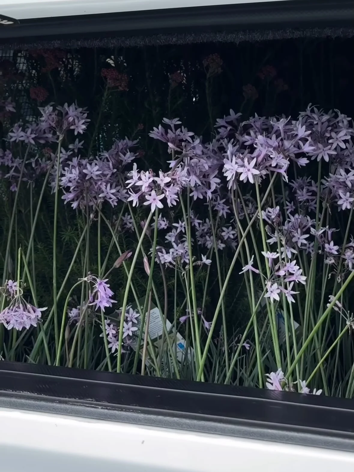 A gentle reminder to stop and smell the flowers.Nature really is one of the greatest gifts we have.

If you&rsquo;re feeling overwhelmed, pause for a moment. Step outside, take a walk, and look around. There&rsquo;s beauty everywhere.

Notice each pe