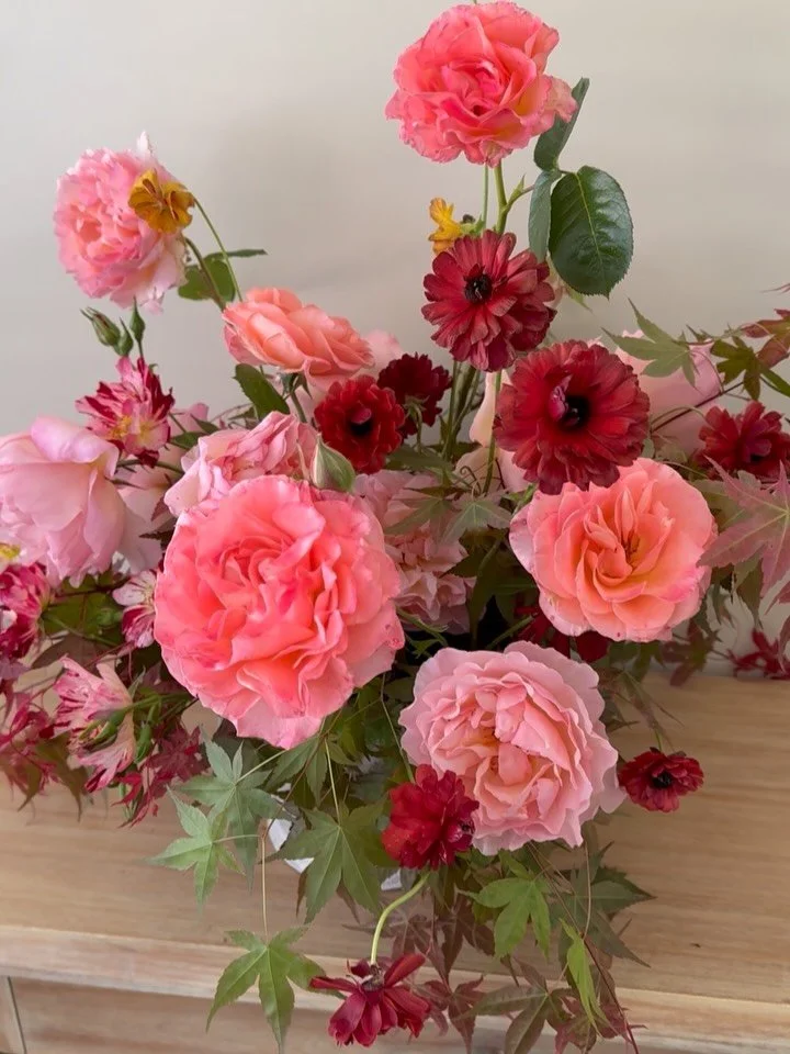 flowers in MAY in my garden 🌿

Princess Charlene roses, heirloom roses planted by the previous owner, chocolate ranunculus, Tecolote Caf&eacute; ranunculus, Japanese maple, rhododendron, lilac, and the very last of the bleeding hearts.

This month I