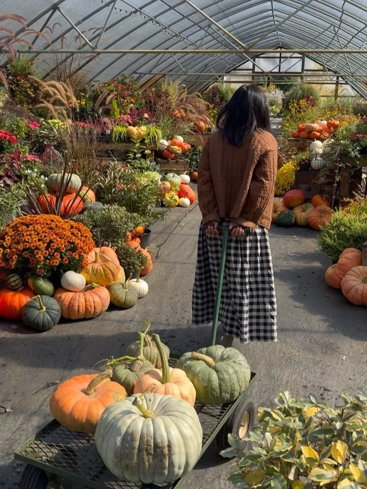 Felt like I was in a candy shop 🍁🎃🌻

The displays here are always on point in every season

Adult pumpkin patch 😍🍂

Found the one (of many 🤭)

Weigh station. Wanna guess how many pounds of pumpkin we got? 🤭

@pinecreekfarms you are such a gem!