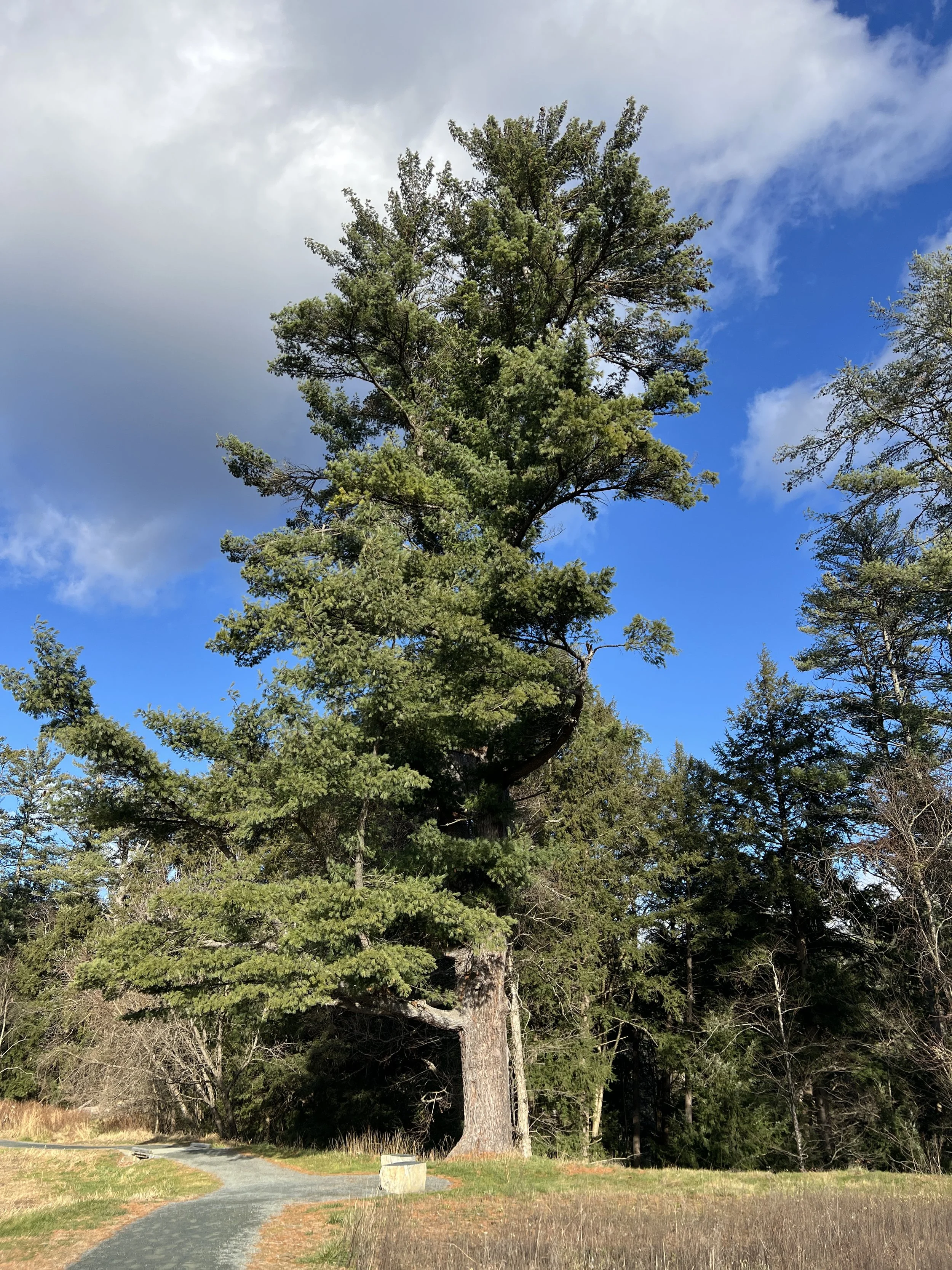 What Is Your Life Showing You? A Year-End Reflection 