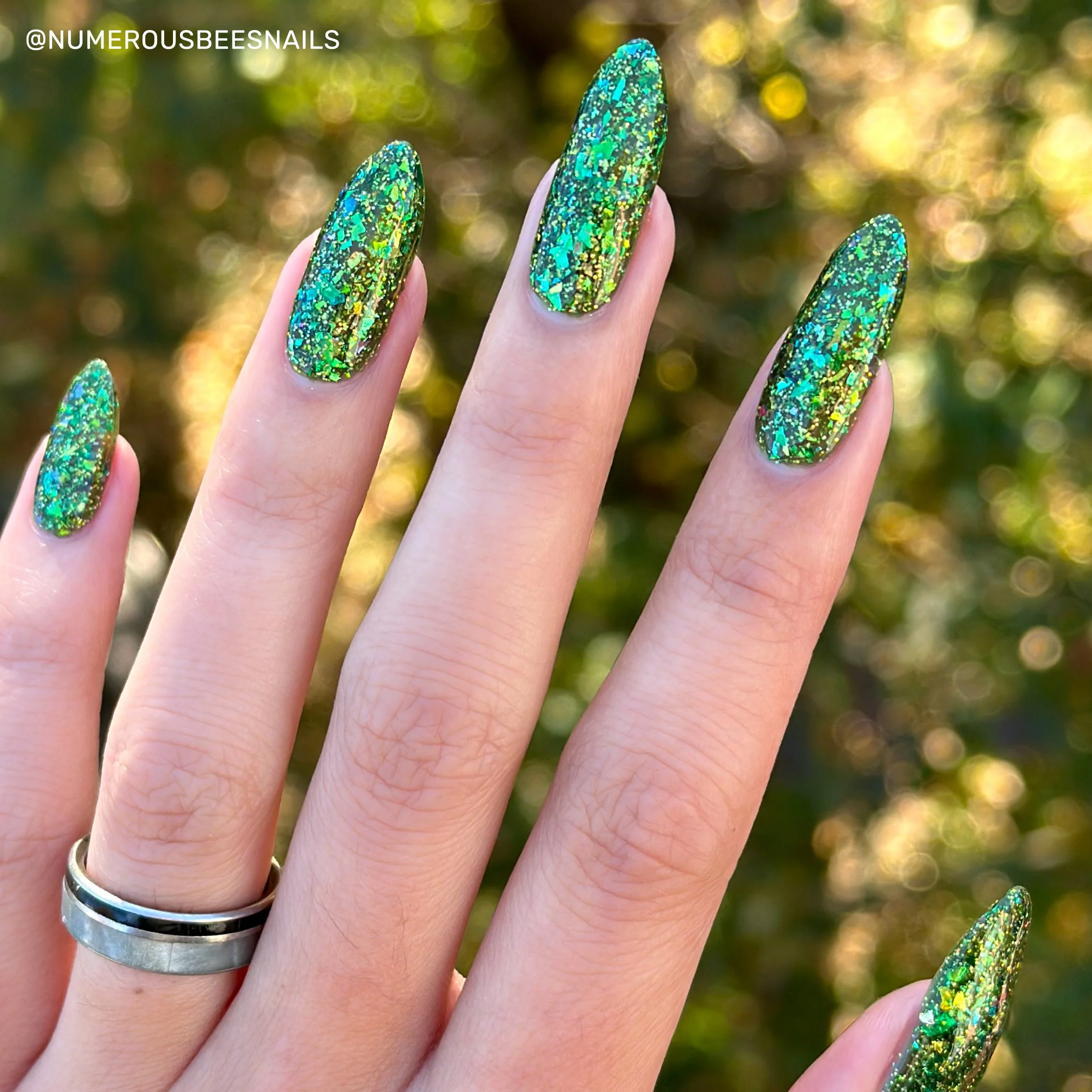 sj-evergreen-forest-11.jpg