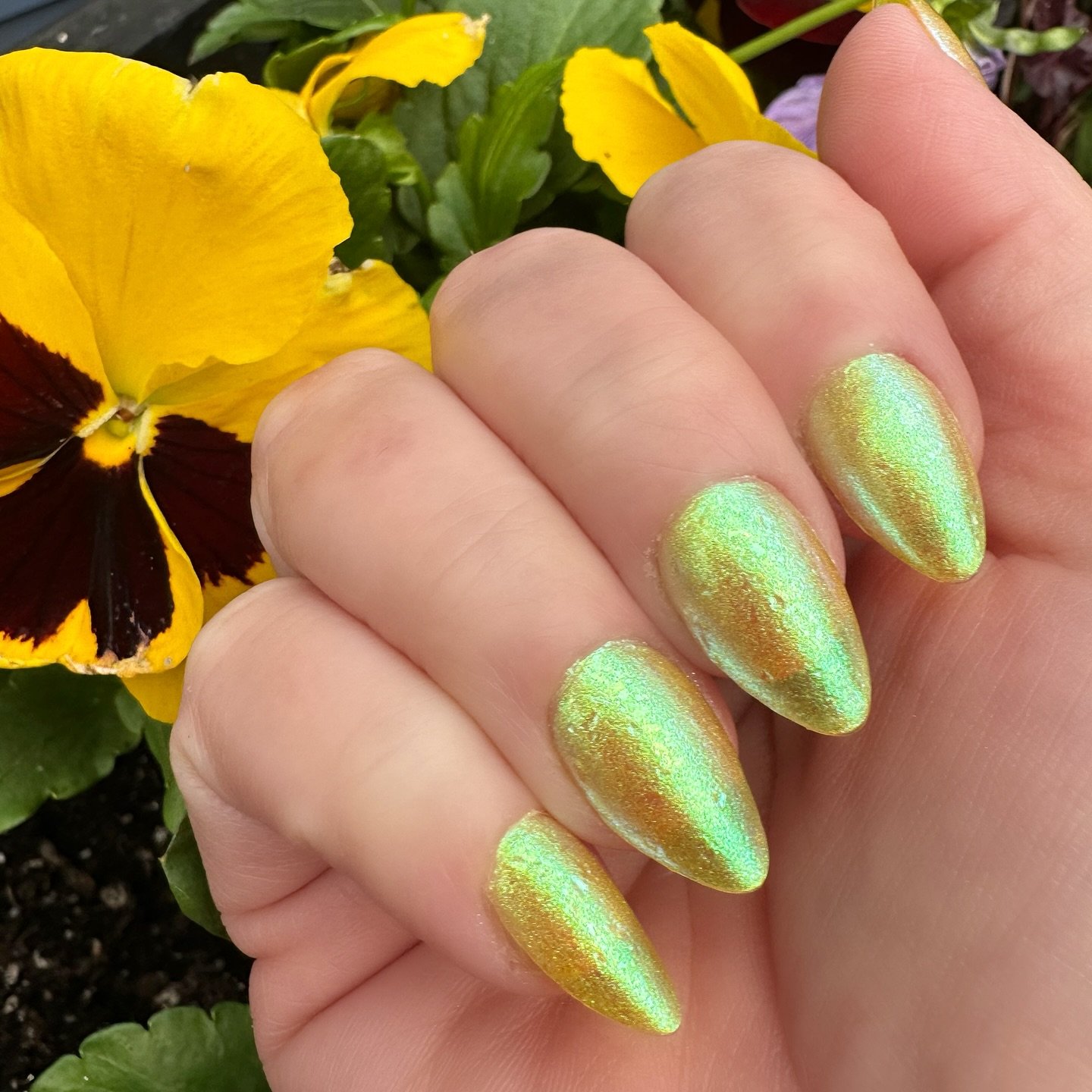 Shimmer overload.
Please excuse the messy mani π but wanted to share this glowy polish.
Swatches coming from content creators in the coming weeks.
πLunar Halo: Yellow with green/blue/violet aurora shimmer, and green/aqua/blue/violet flakes in vari