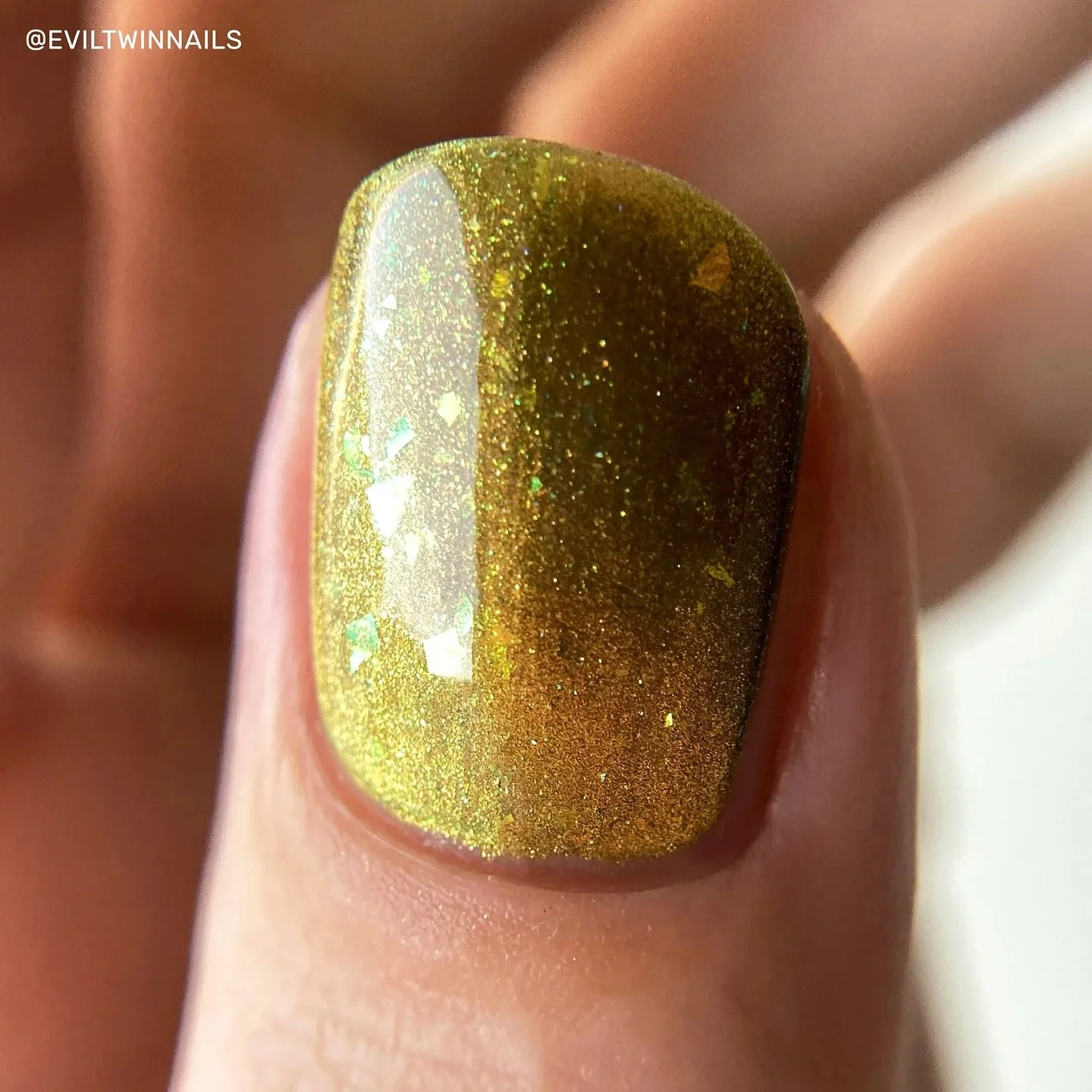 CYPRESS (magnetic)
Van Gogh Collection 2.0
Olive jelly base with ochre/gold/green magnetic, gold/green shimmer, green/gold/aqua iridescent flakies.
Coming for pre-order 8/16 12 PM ET
Swatched by @eviltwinnails
Paid PR
#fauvecosmetics #nailpolish