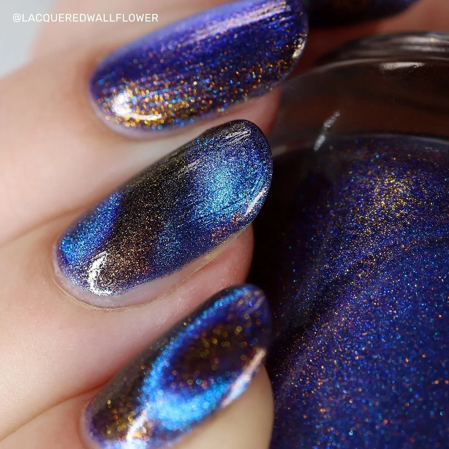 INNER DEMONS (magnetic)
Van Gogh Collection 2.0
Available now for pre-order
Indigo base with cobalt/violet magnetic & gold/copper aurora shimmer.
Swatched by @lacqueredwallflower
Paid PR
#fauvecosmetics #nailpolish #indienailpolish #nailsnai