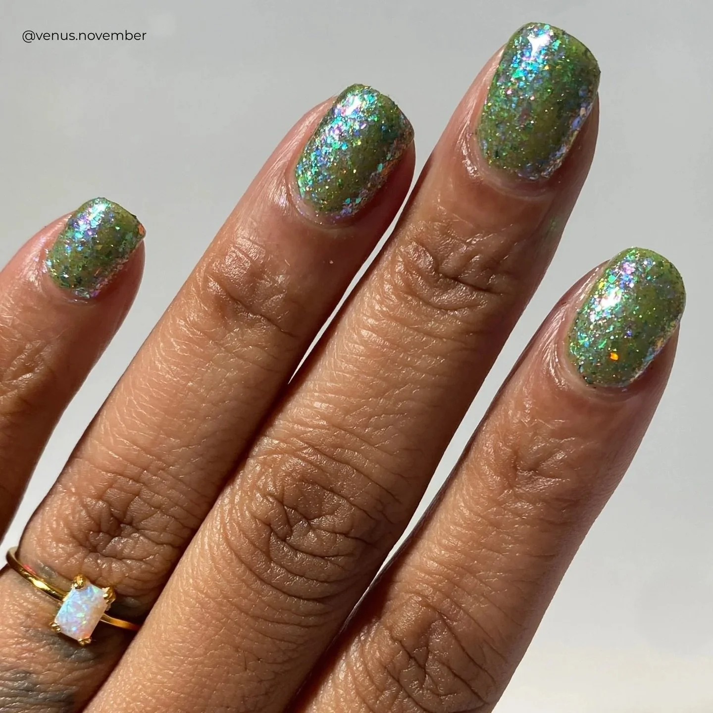 WATER GARDEN
Mossy green jelly base, aqua/blue iridescent flakies, violet/pink/orange iridescent flakies, blue/violet iridescent flakies, sage and denim blue holo flakes, blue/purple/pink reflective glitter, baby blue holo

Swatched by @venus.novembe