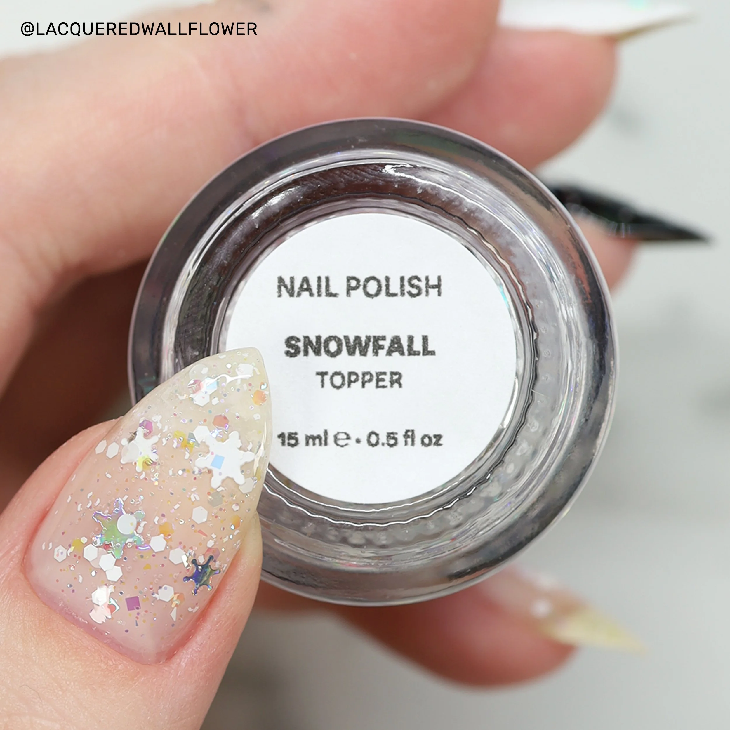 hailey-snowfall-12.jpg