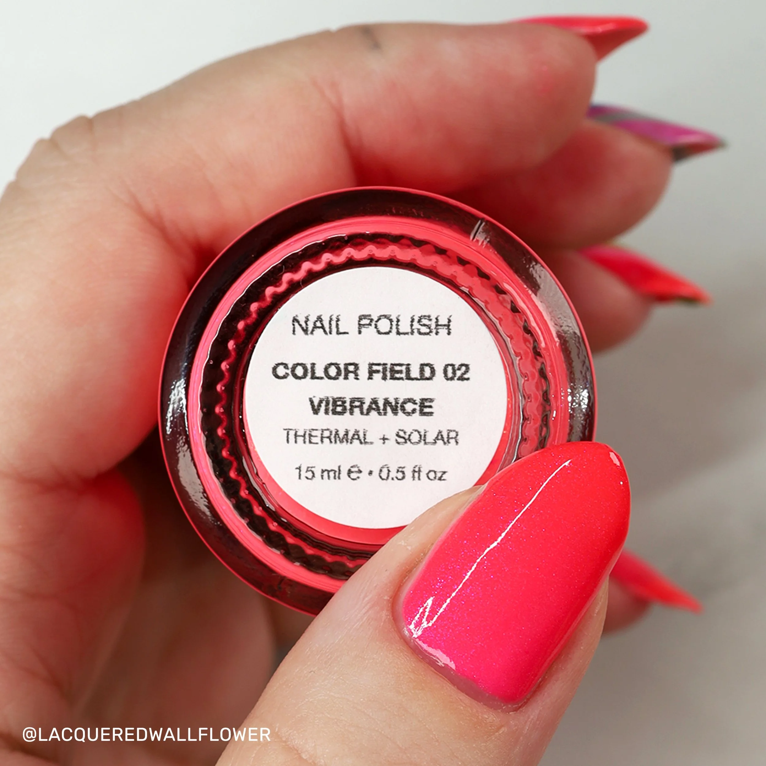 hailey-cf02-2.jpg