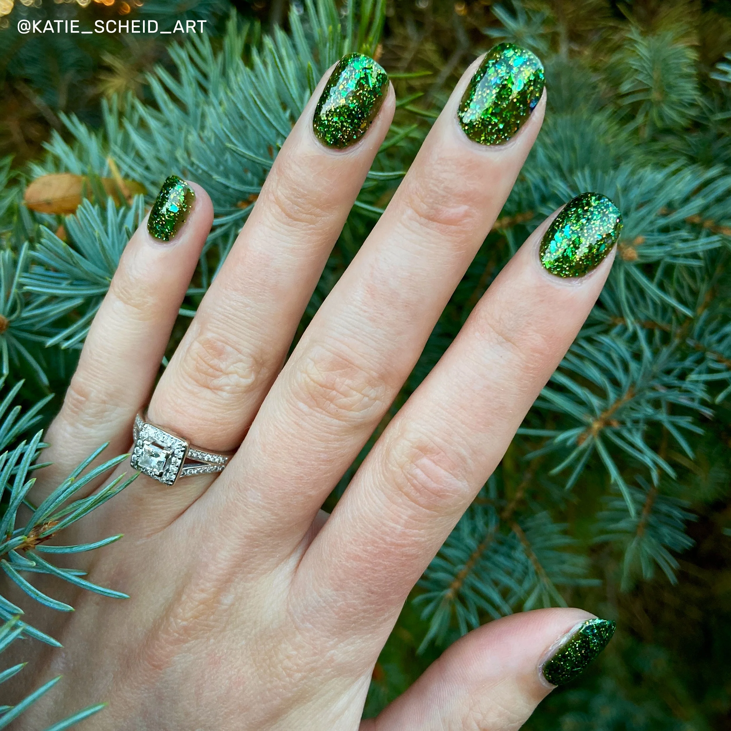 katie-evergreen-forest-7.jpg