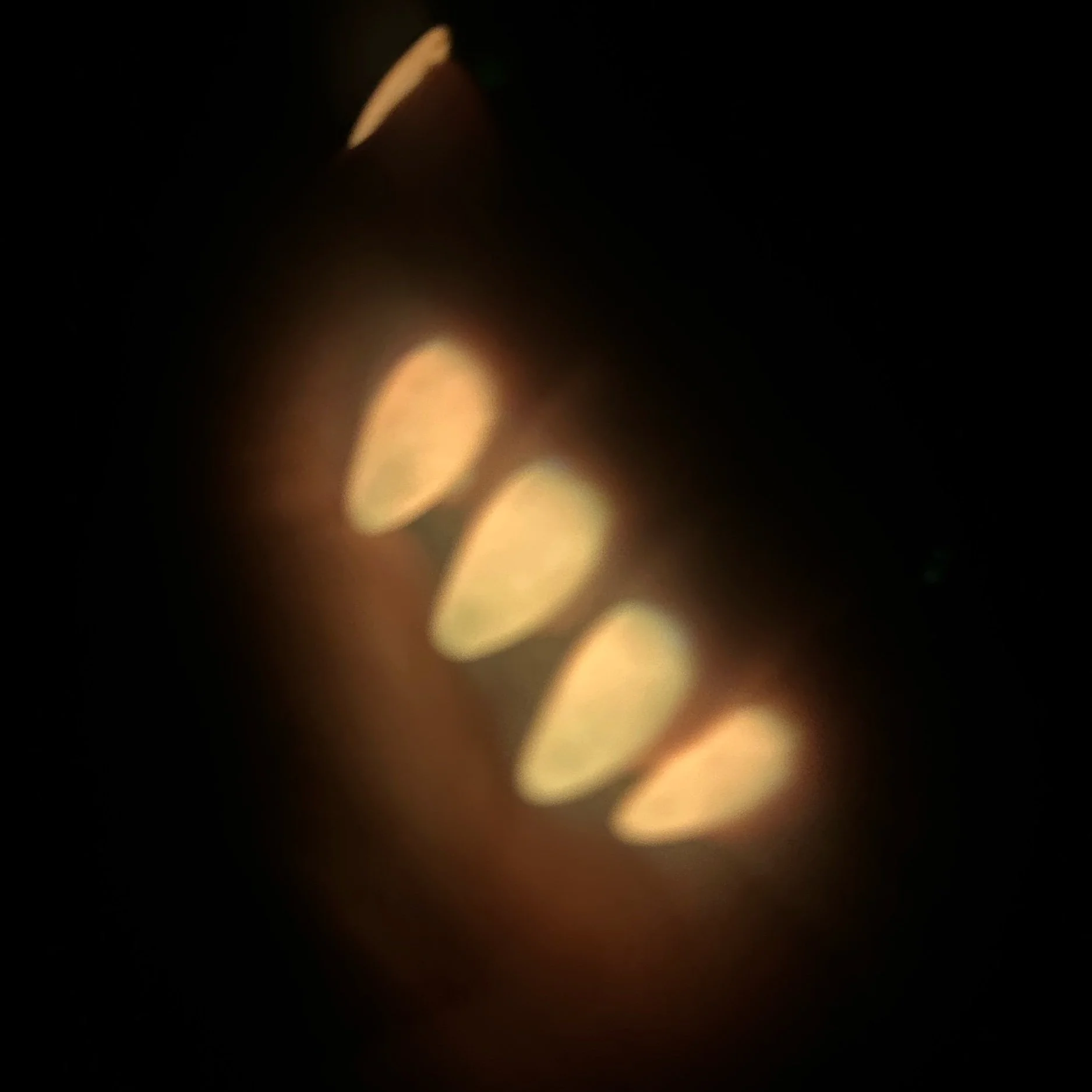 FA4ED89B-1571-42BF-88EF-3804421890CD.jpg