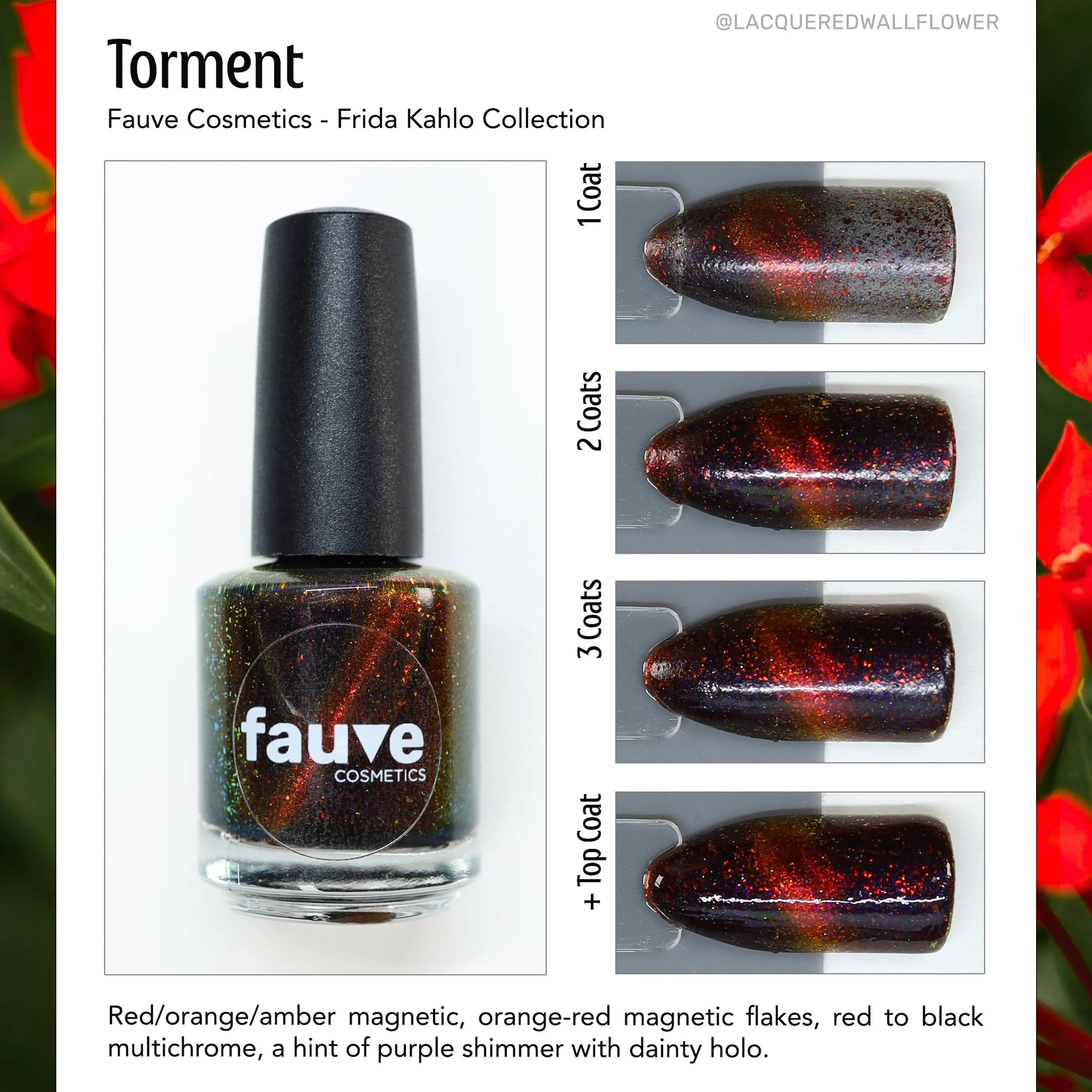 hailey-torment-1.jpg
