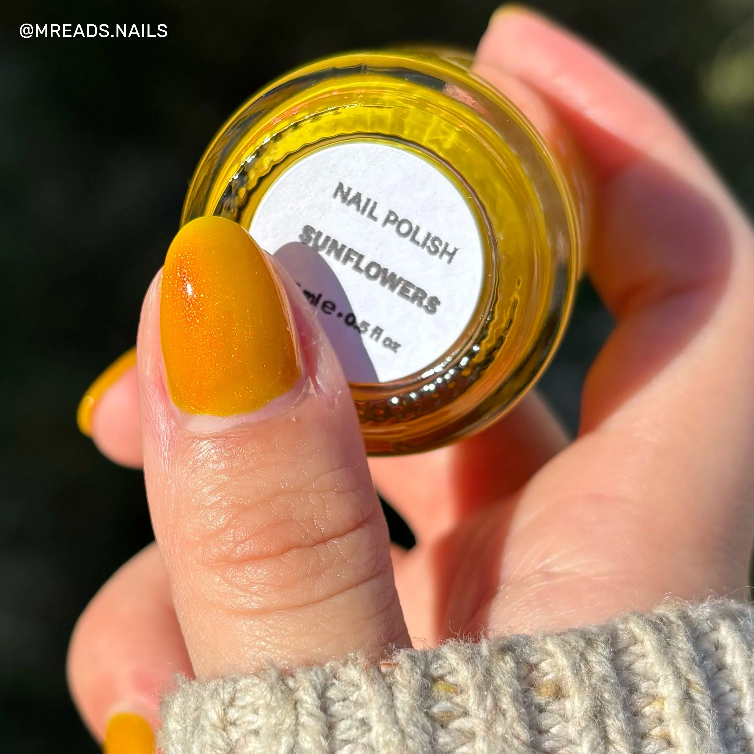 maddy-sunflowers-1.jpg