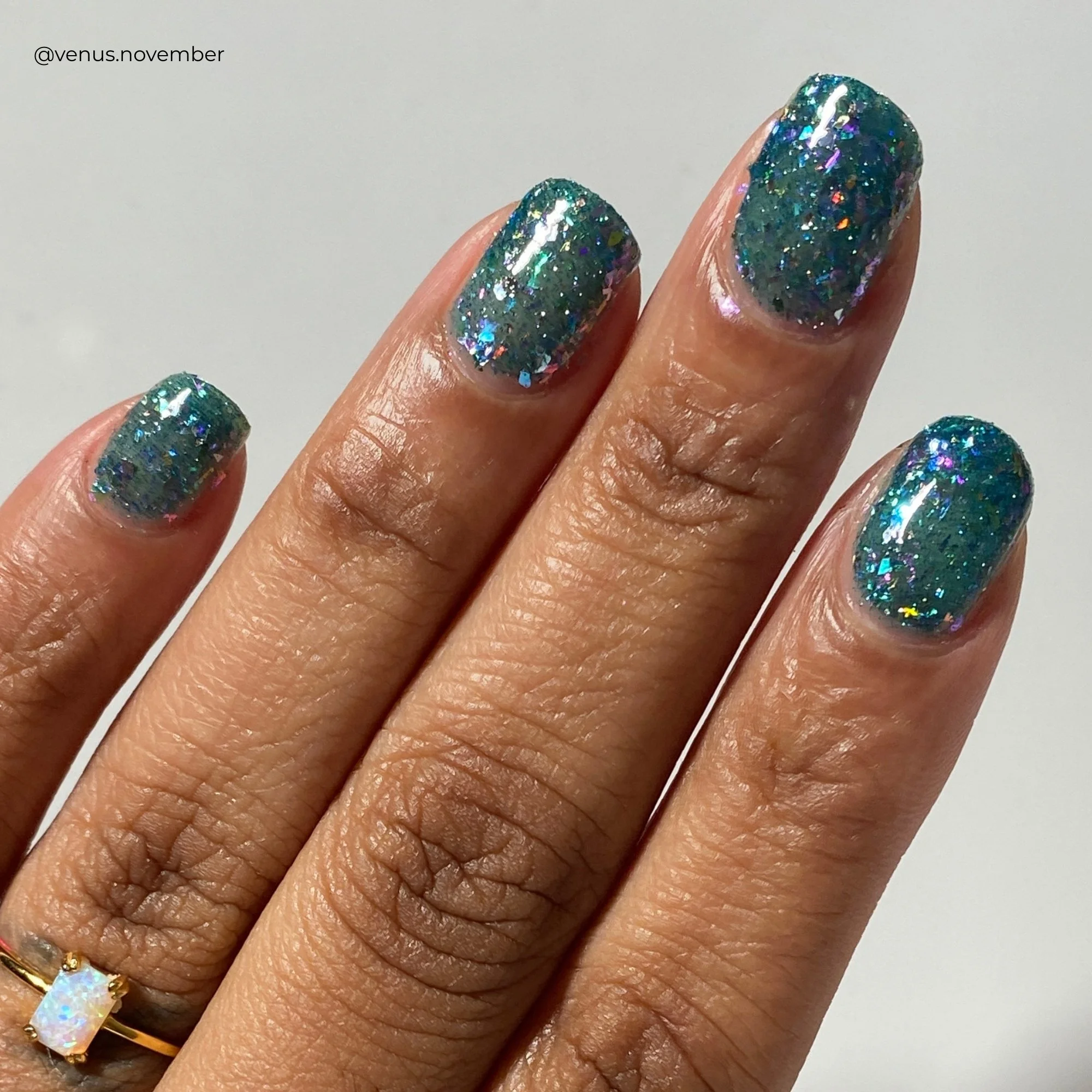 COMING SOON: Blue Nympheas