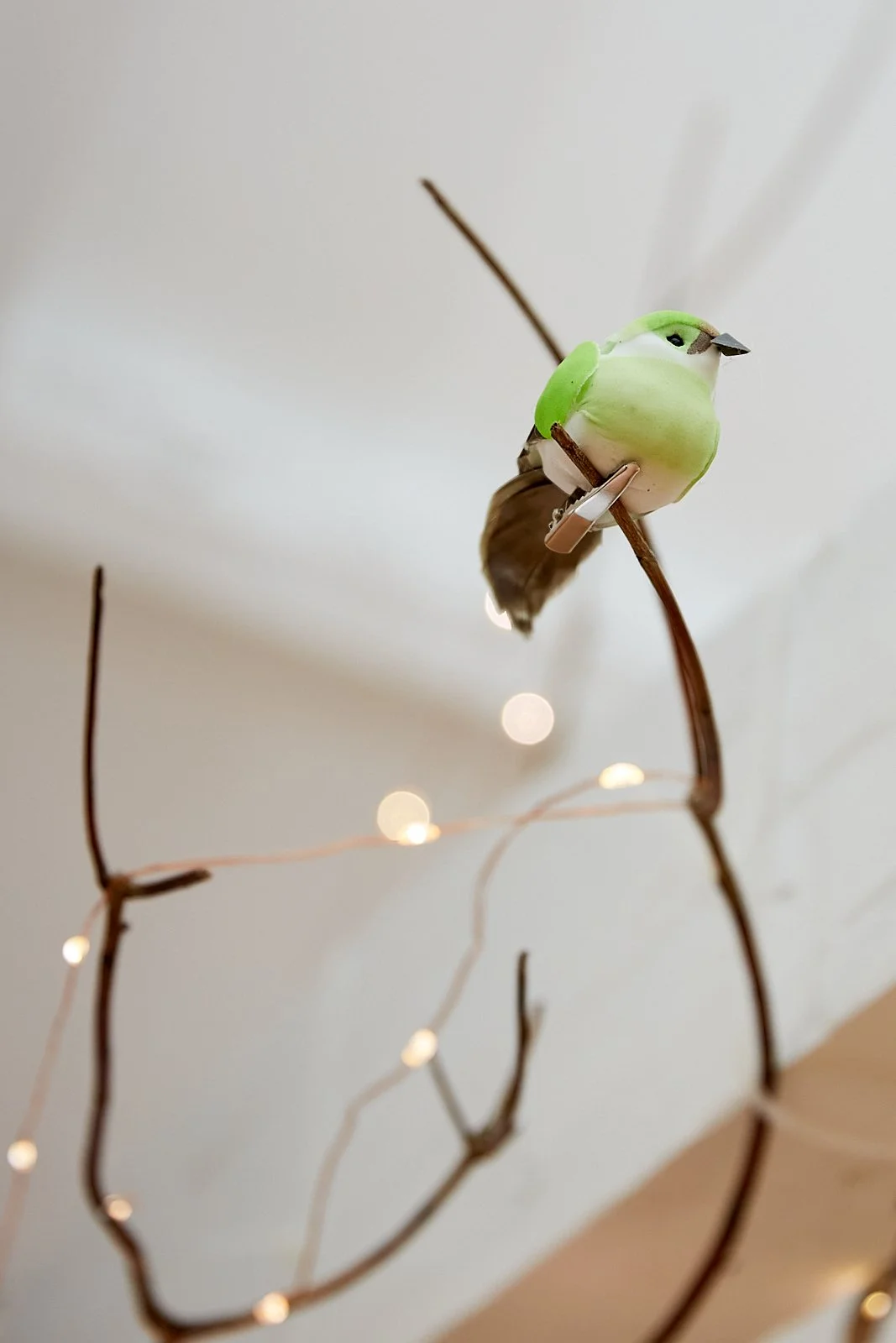 Academic Performance and Exam Results