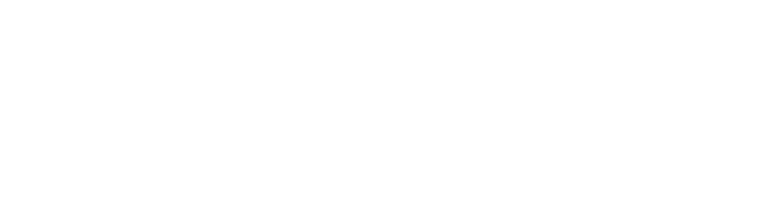 HopeNation Collective white logo.