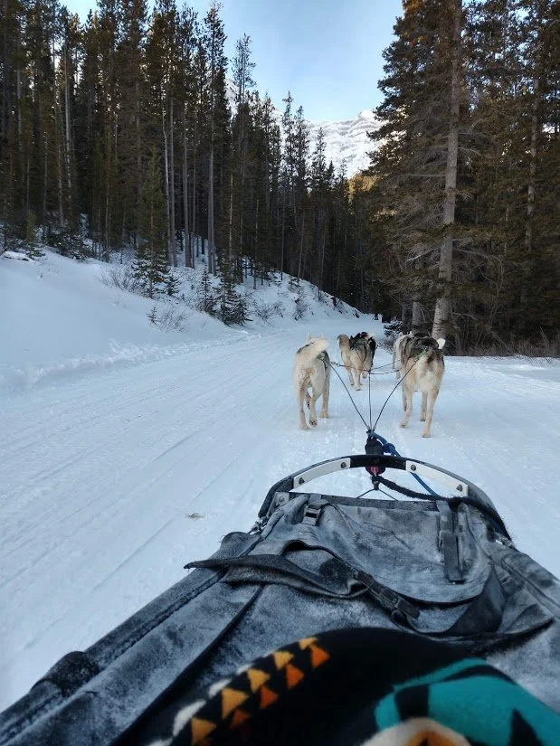 Kananaskis nordic spa and snowy owl dog sledding dopp with love event