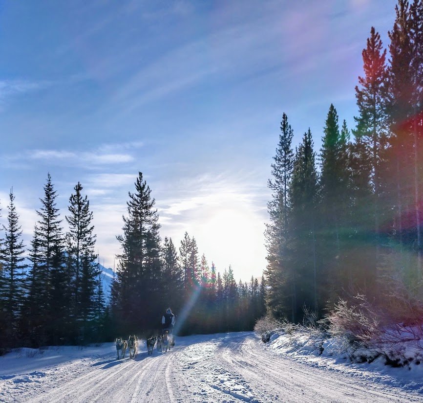 Kananaskis nordic spa and snowy owl dog sledding dopp with love event