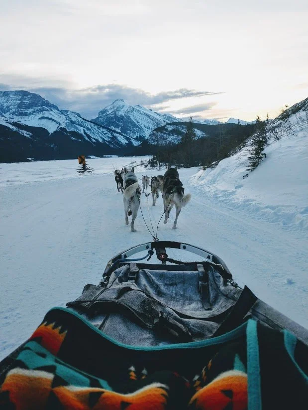 Kananaskis nordic spa and snowy owl dog sledding dopp with love event
