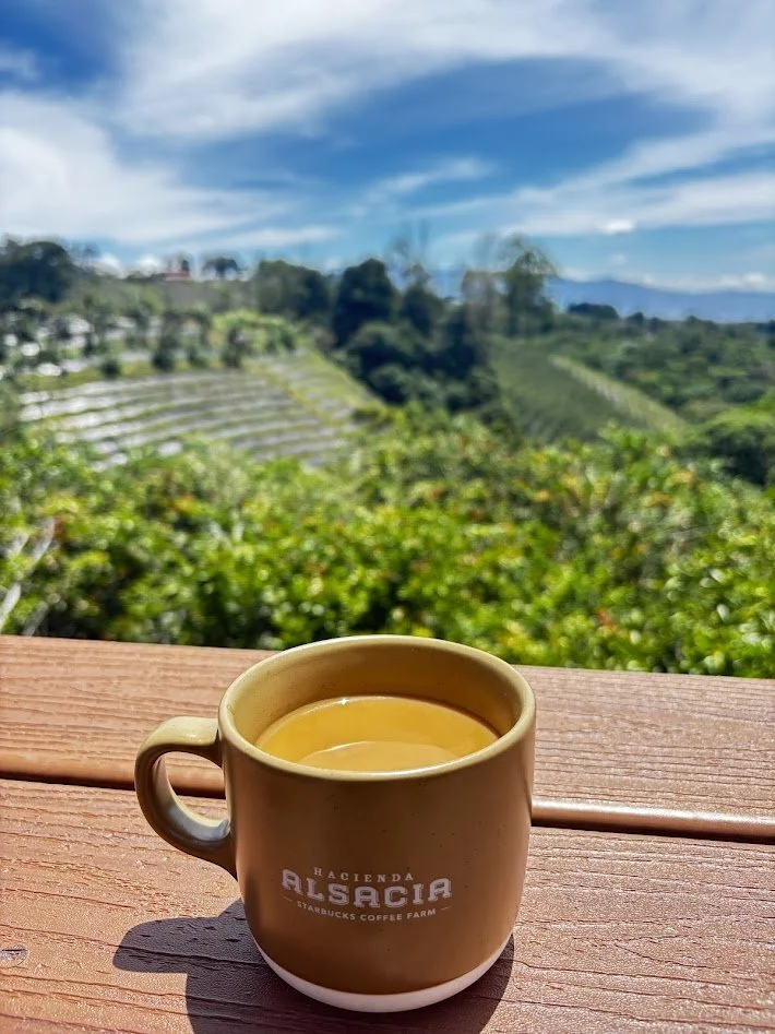 CR Starbucks fields.JPG