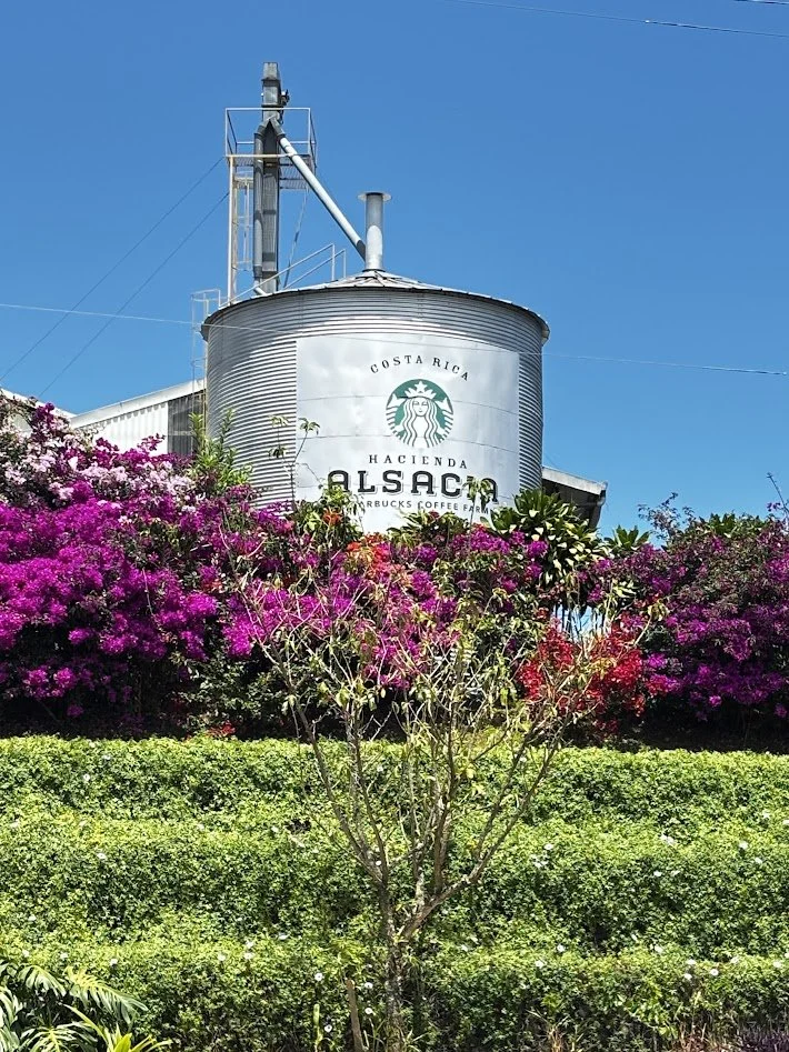 CR starbucks operation.JPG