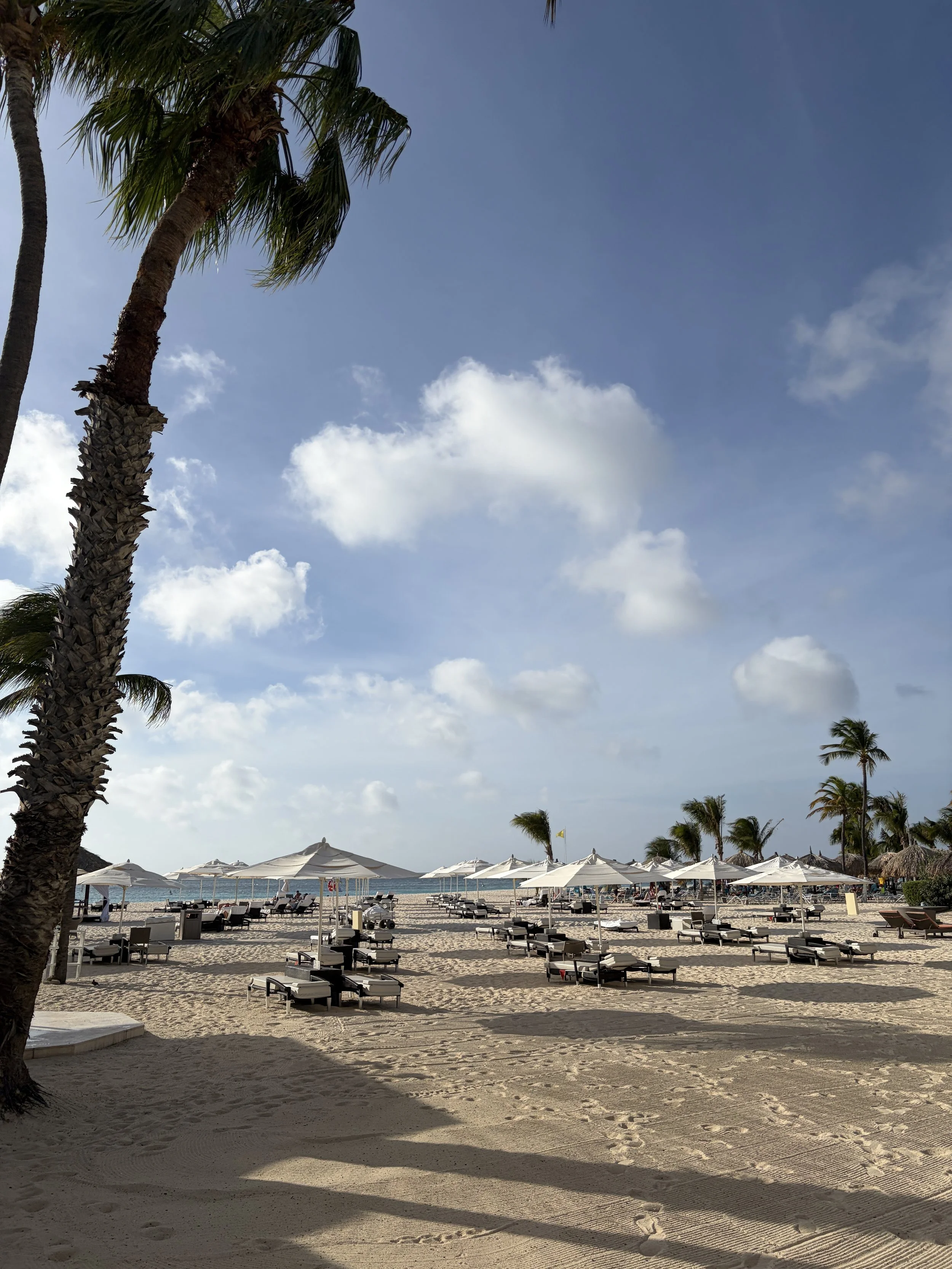 Elements Beach Front