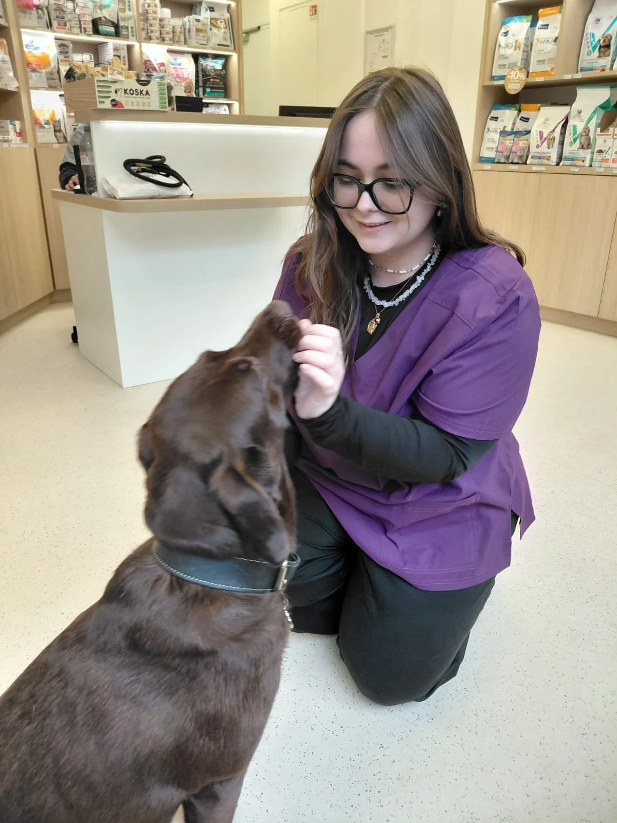 veterinaire-vetalesia-chien