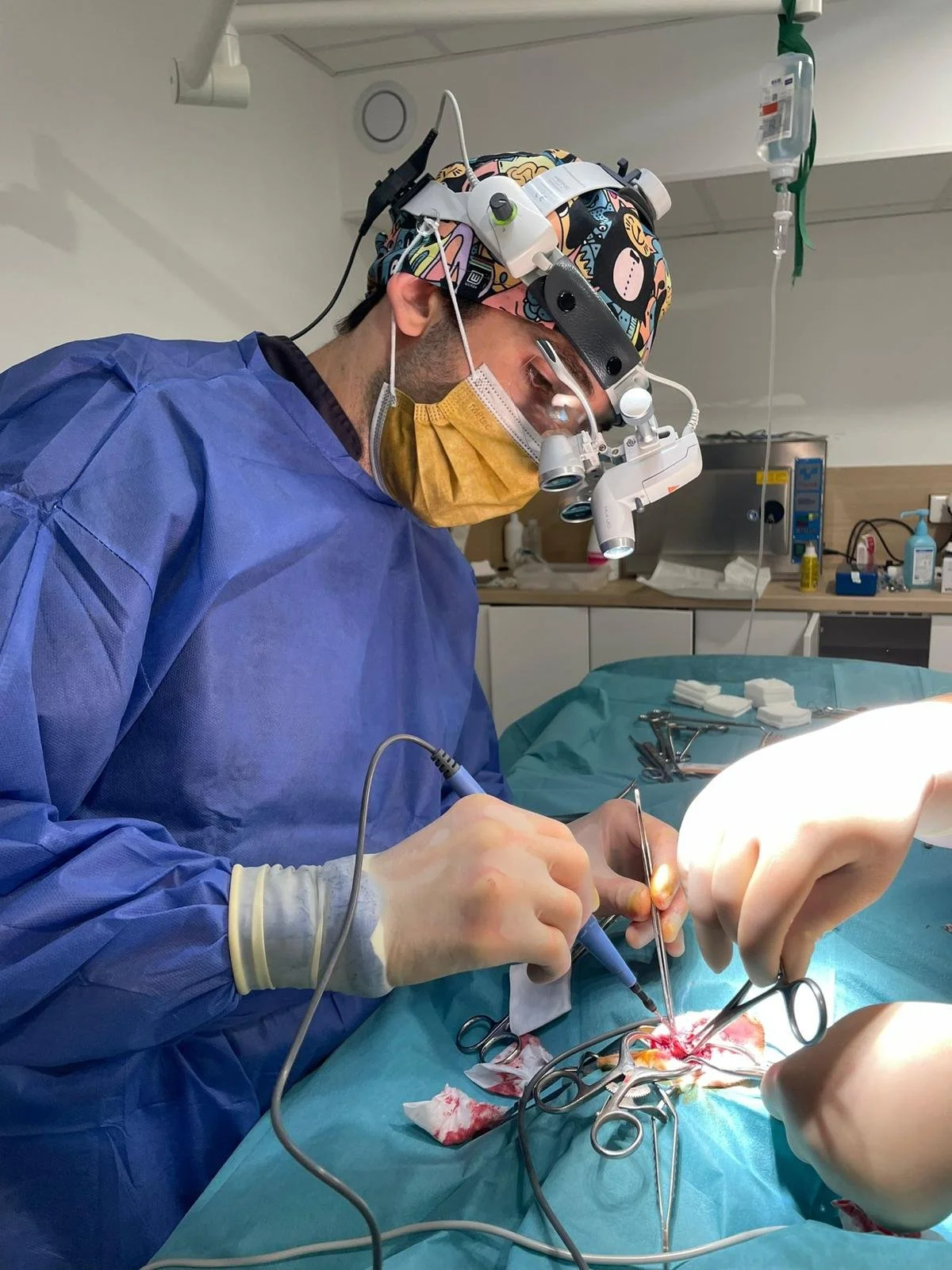 Service chirurgie animaux